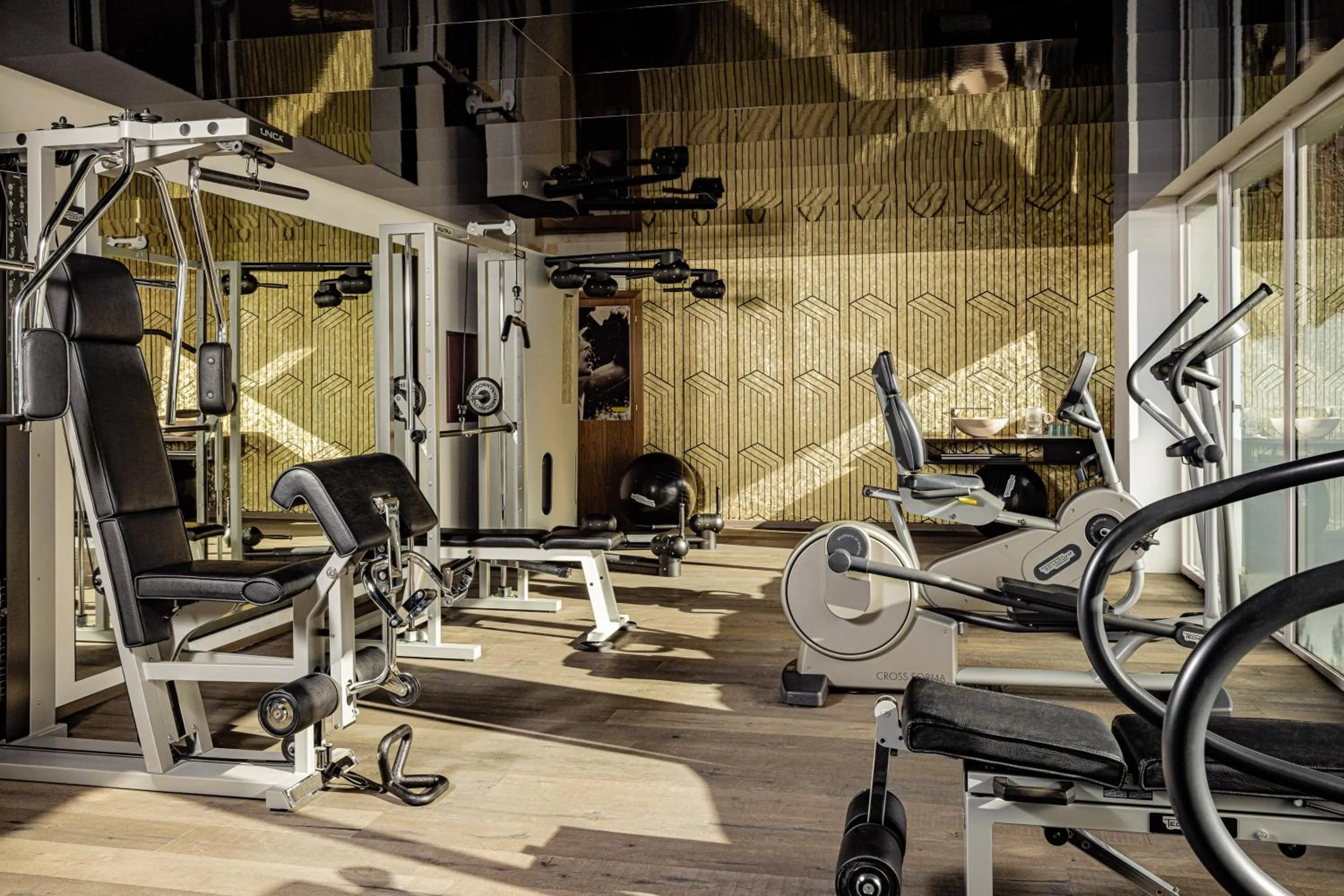 Fitness centre/facilities in Alpin Garden Luxury Maison & SPA - Adults Only