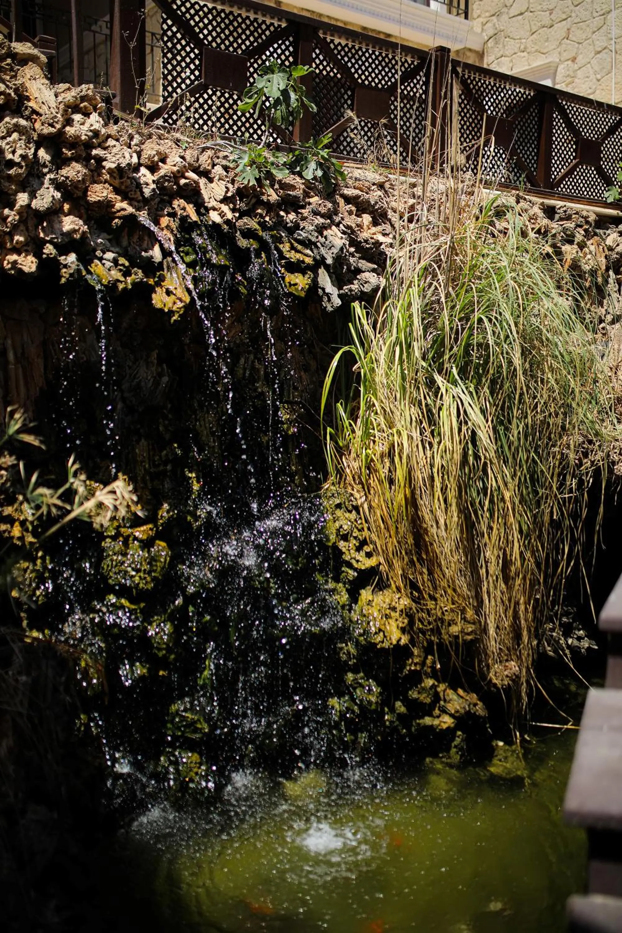 Natural landscape in Cocos The Club Solto