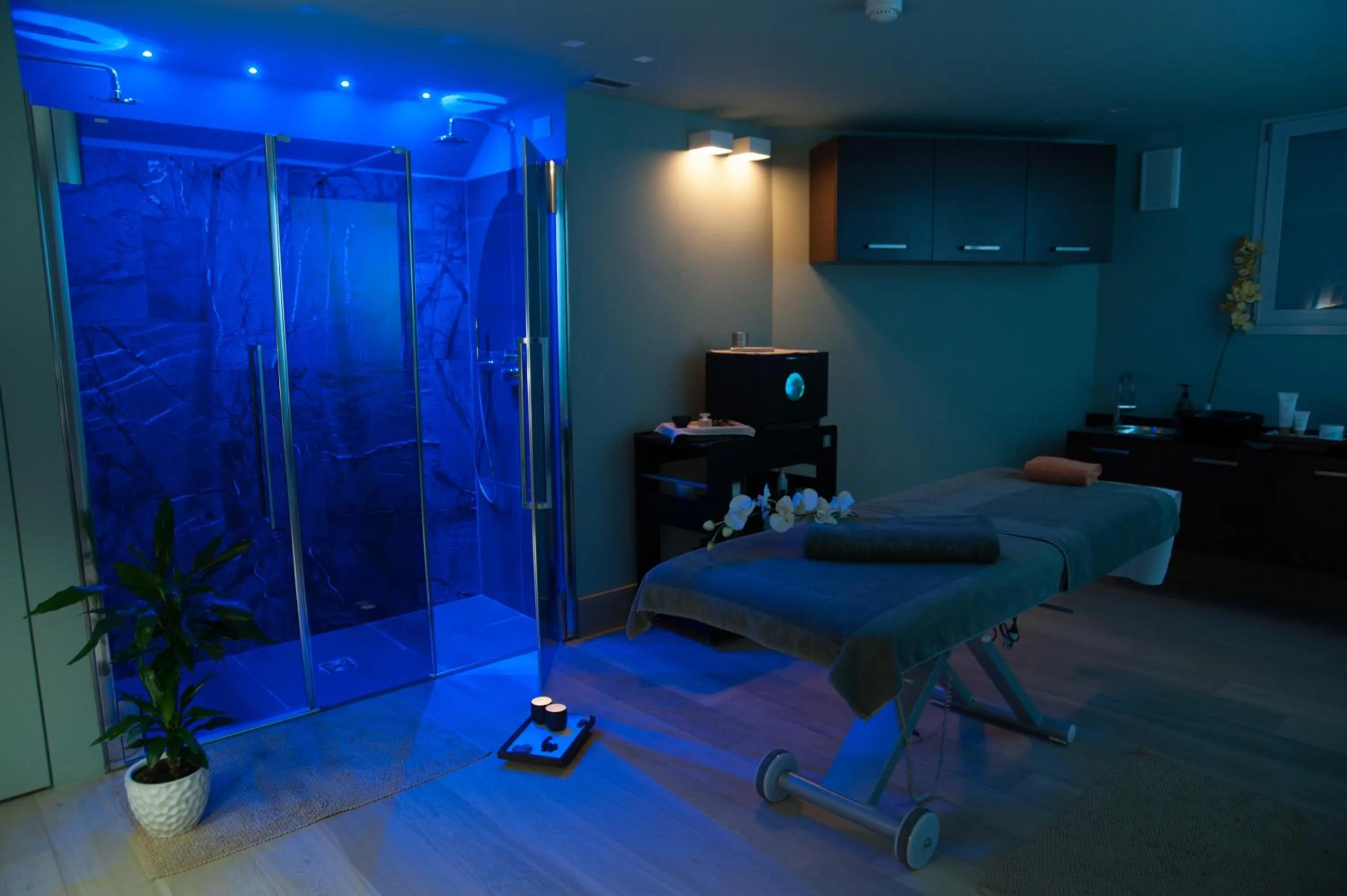 Spa and wellness centre/facilities in Alexander Charme Hotel