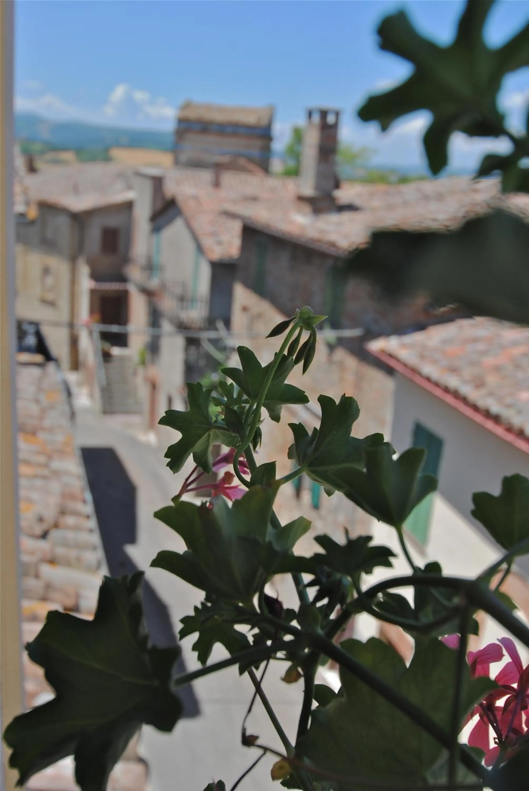 View (from property/room) in Torre Sangiovanni Albergo e Ristorante da Rosary