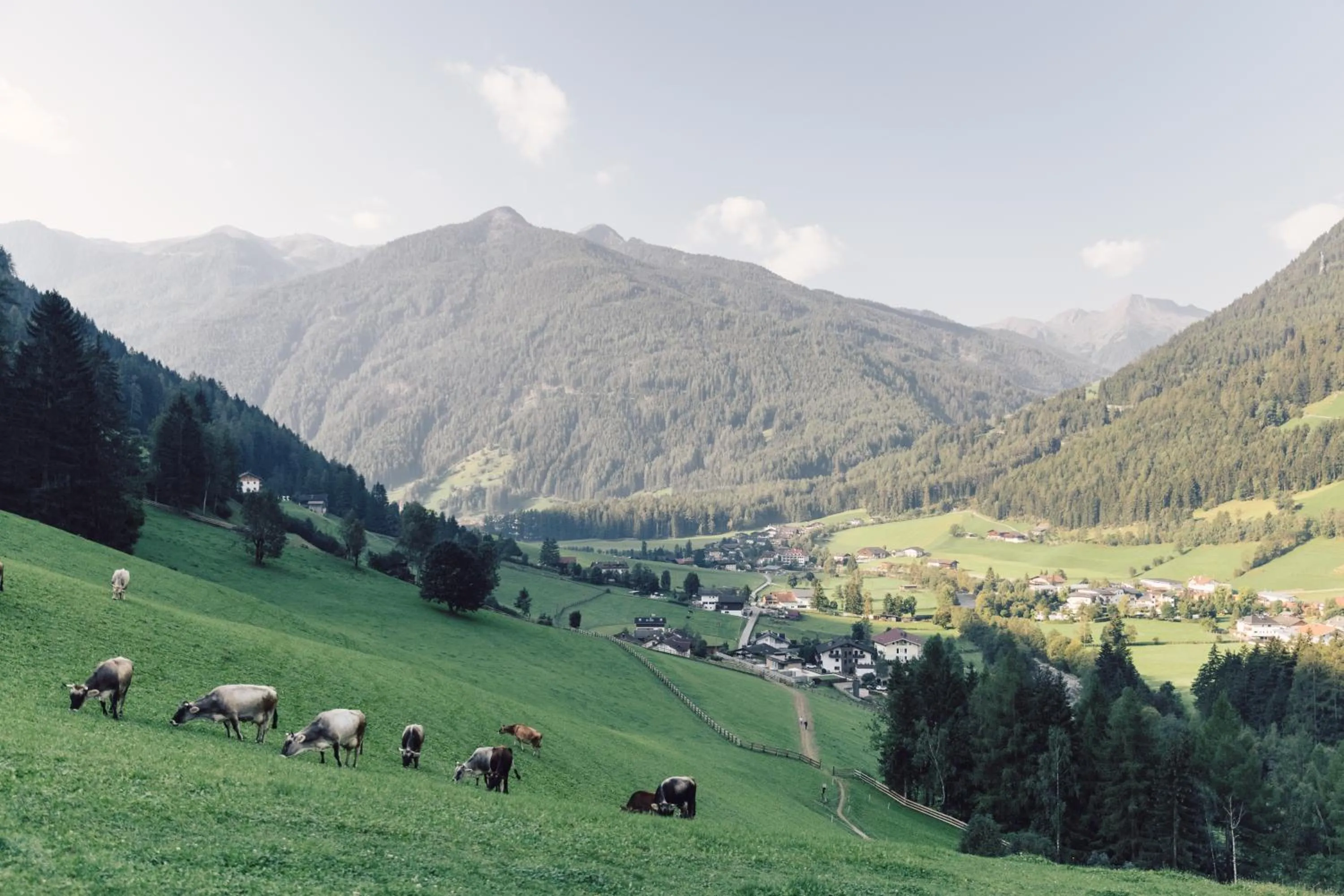 Natural landscape in Alpenpalace Luxury Hideaway & Spa Retreat