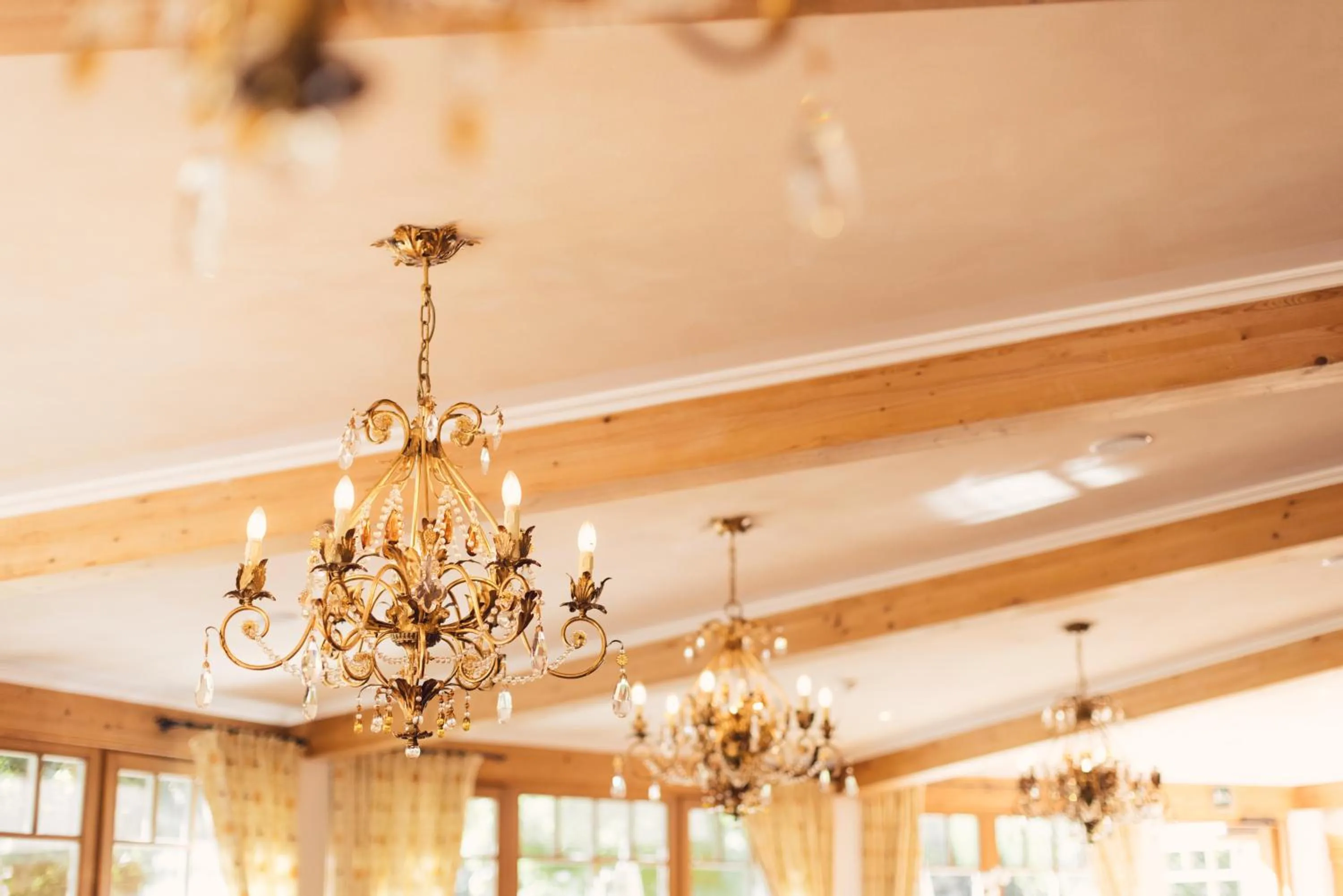 Banquet/Function facilities in Alpenpalace Luxury Hideaway & Spa Retreat