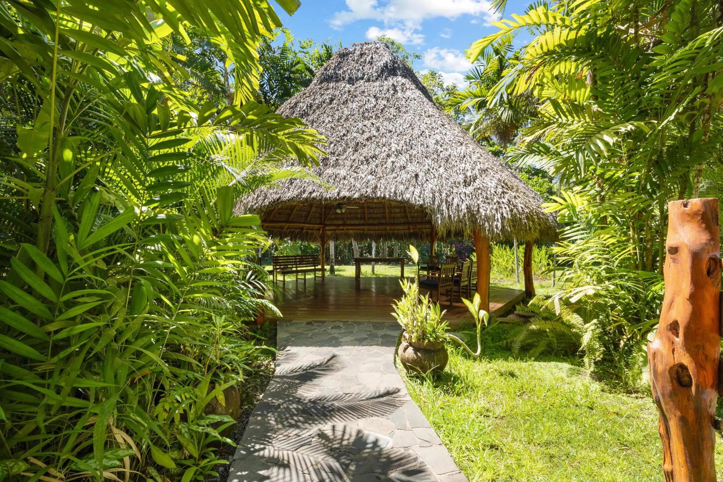 Natural landscape in Tambor Tropical Beach Resort- Adults Only