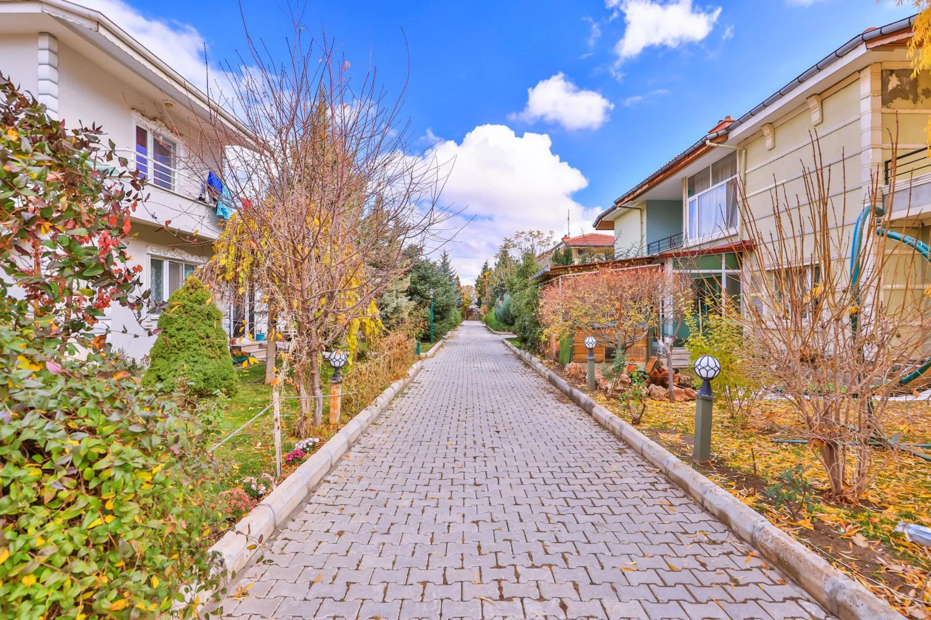 Afyon Dundar Thermal Villa