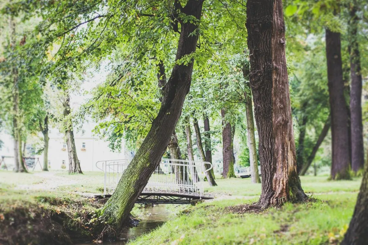 Day in Pałac Brunów - Wellness & SPA