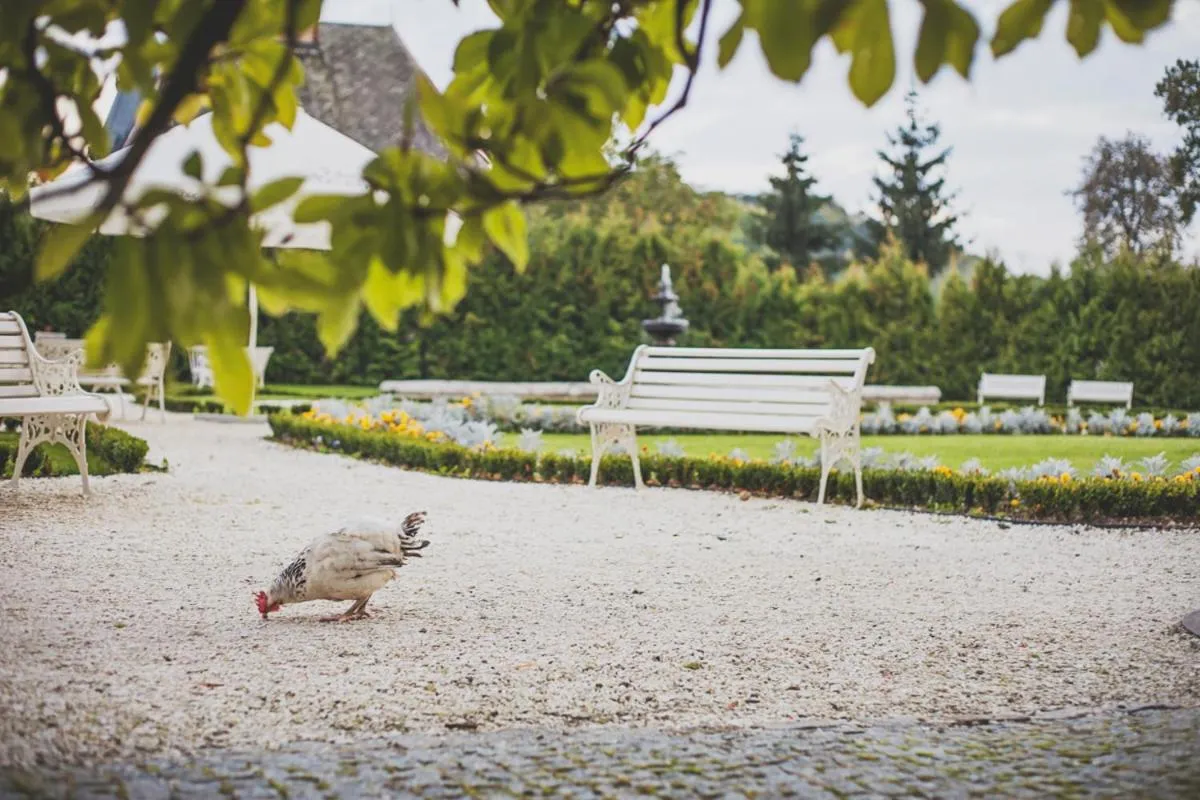 Day in Pałac Brunów - Wellness & SPA