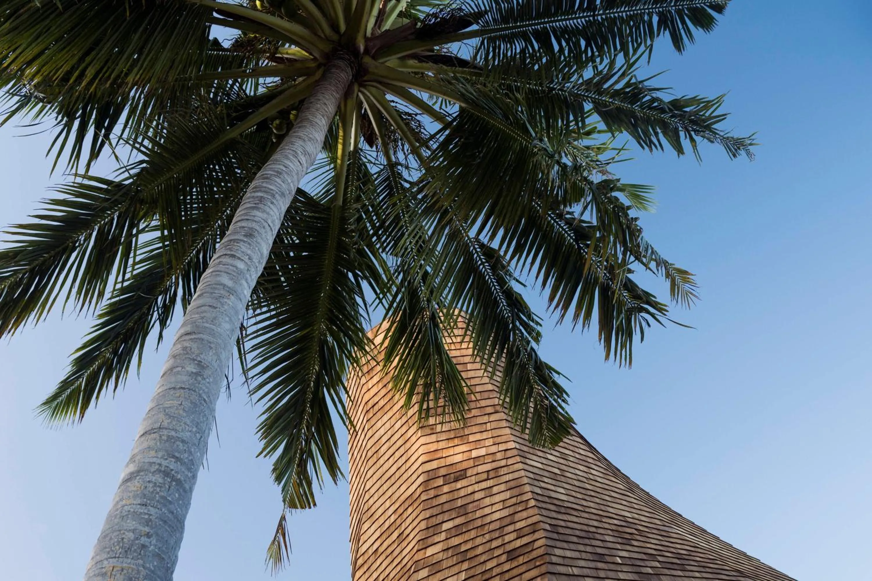 Other in The St. Regis Maldives Vommuli Resort