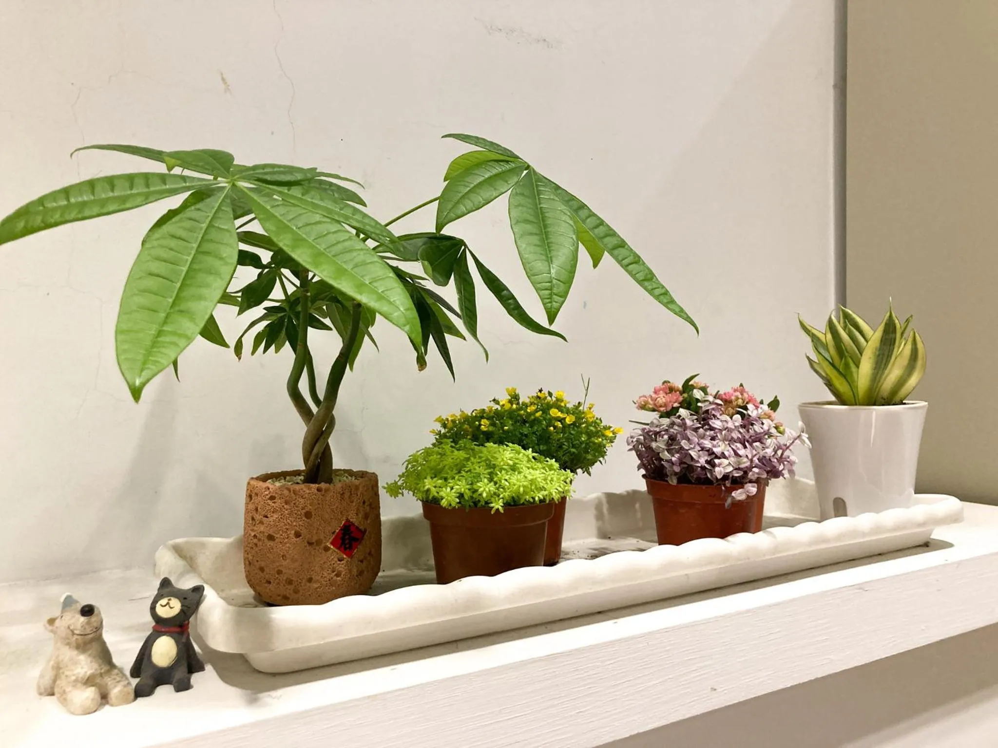 Living room in 4Plus Hostel