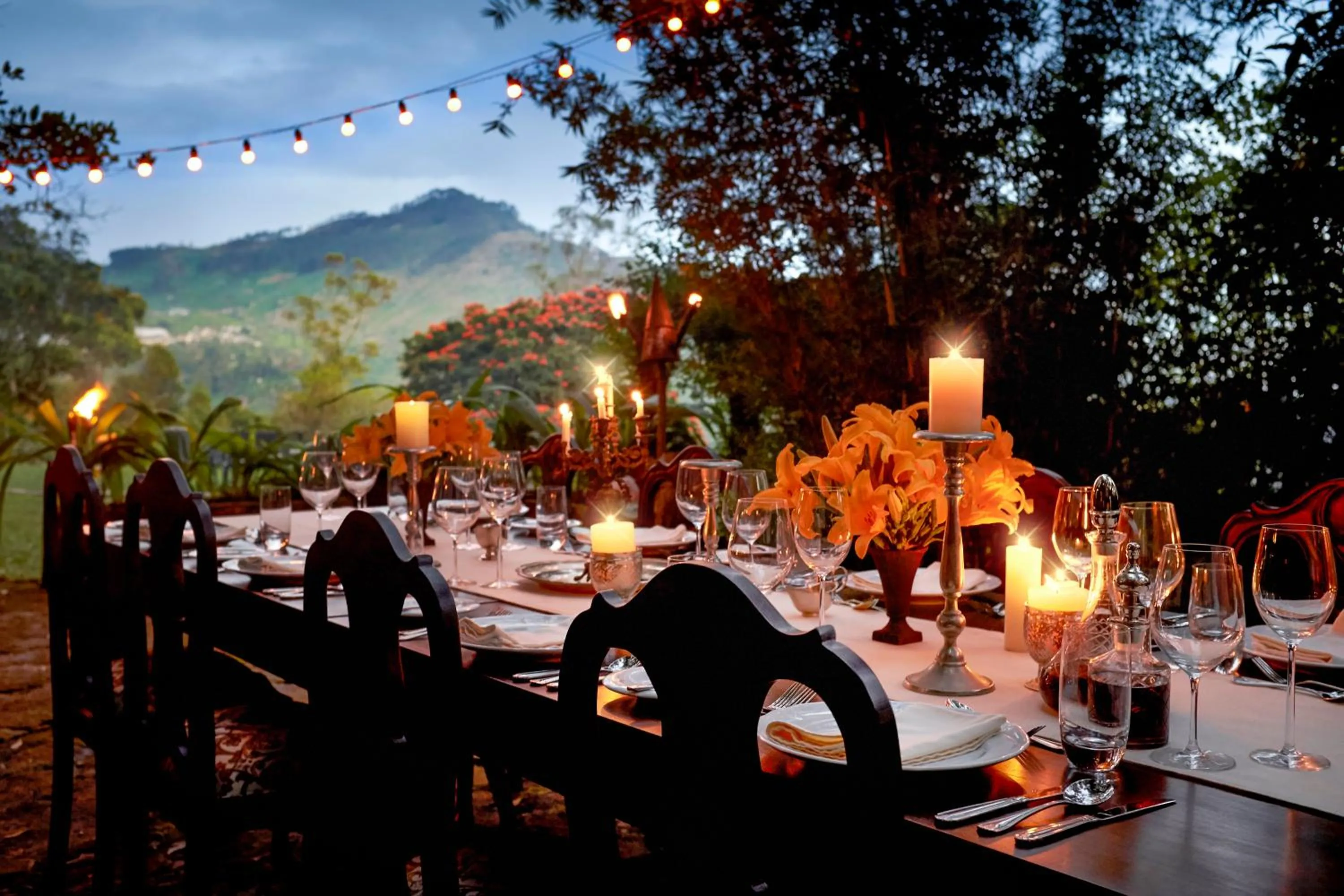 Restaurant/places to eat in Thotalagala