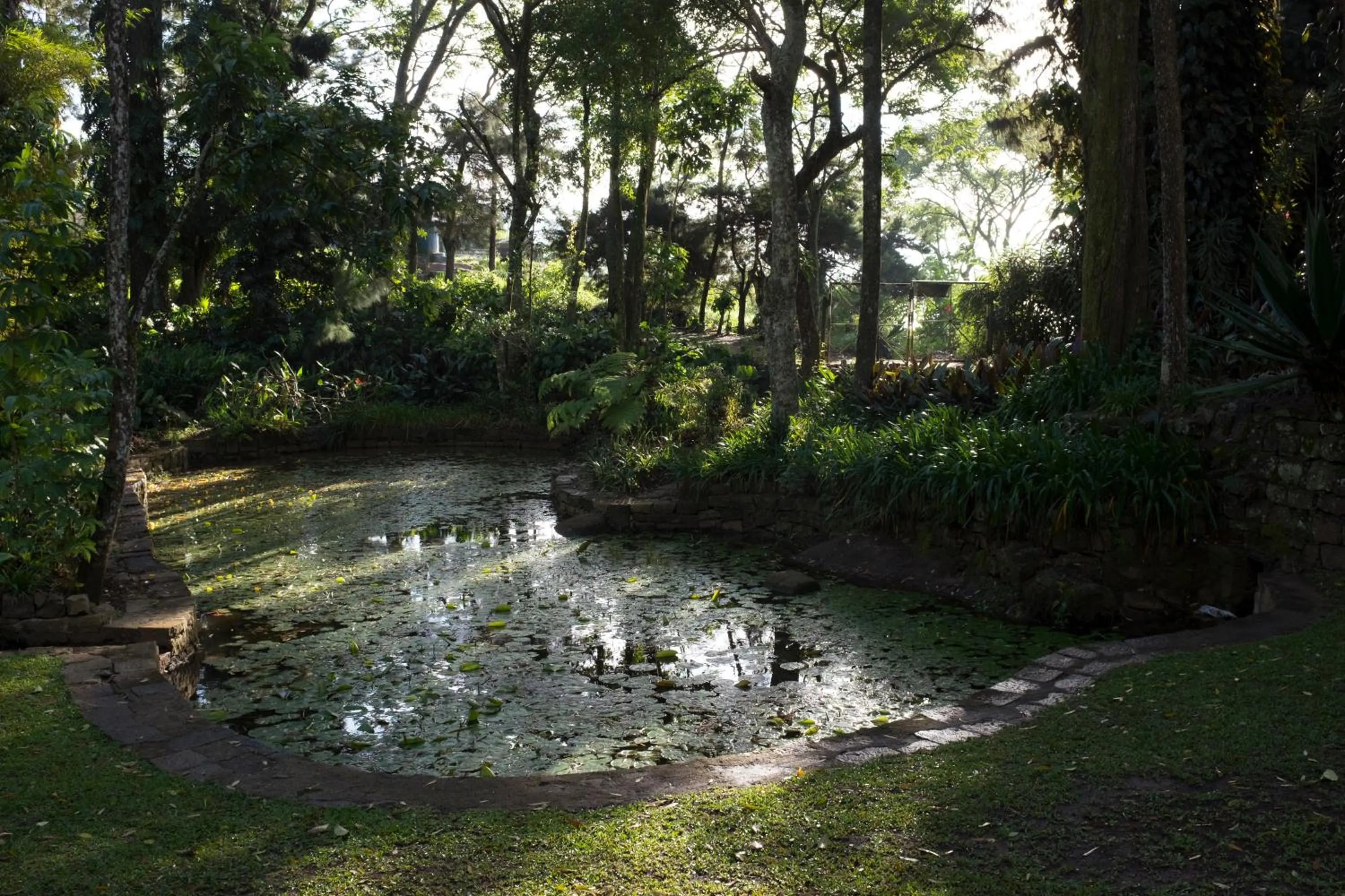 Natural landscape in Thotalagala