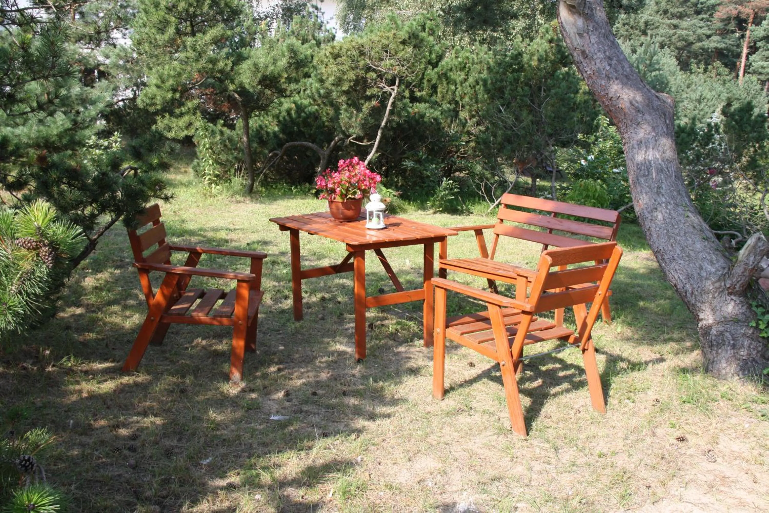 Garden in Dom Wypoczynkowy Słoneczna