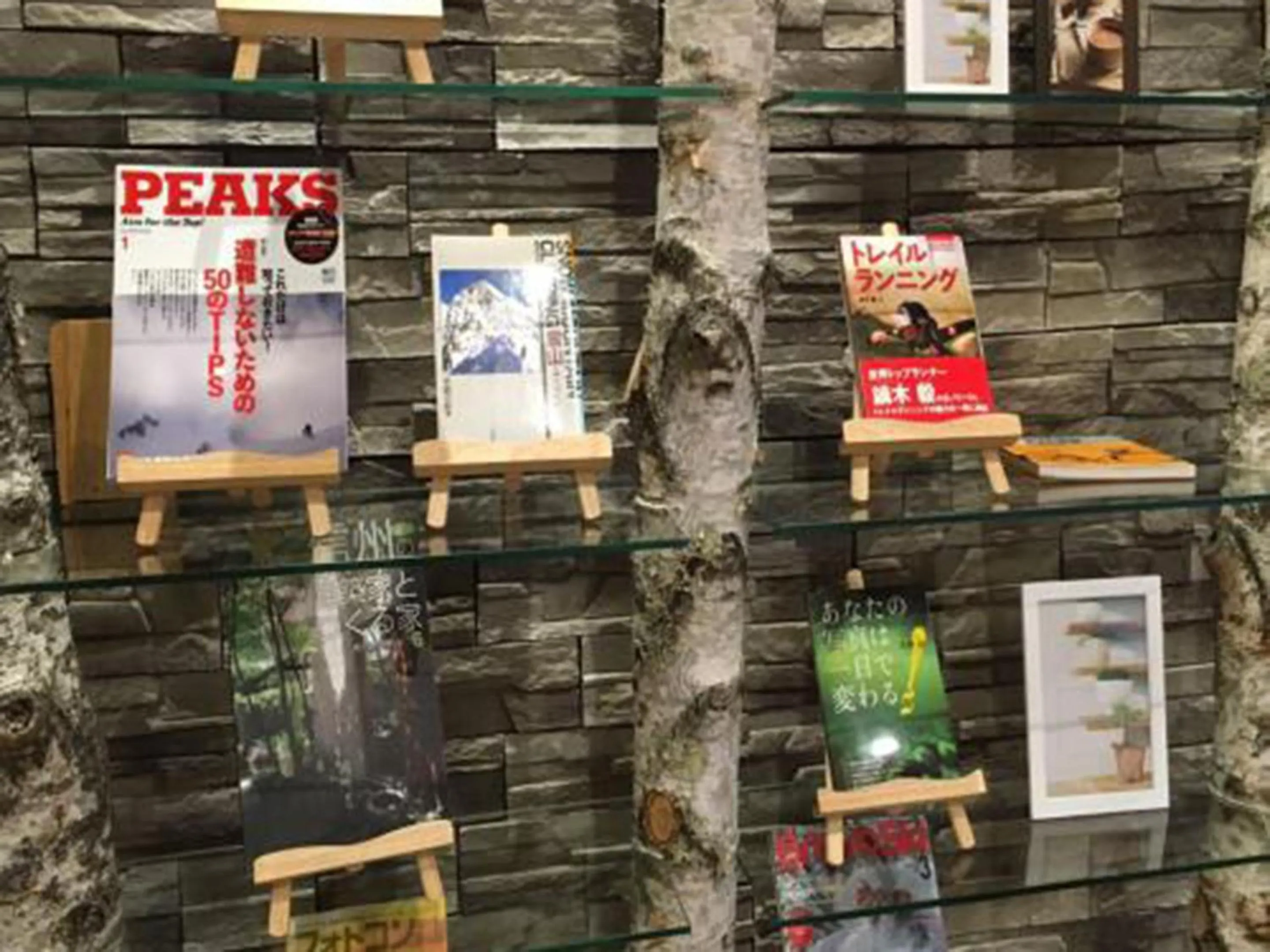 Area and facilities in Kimimachisou