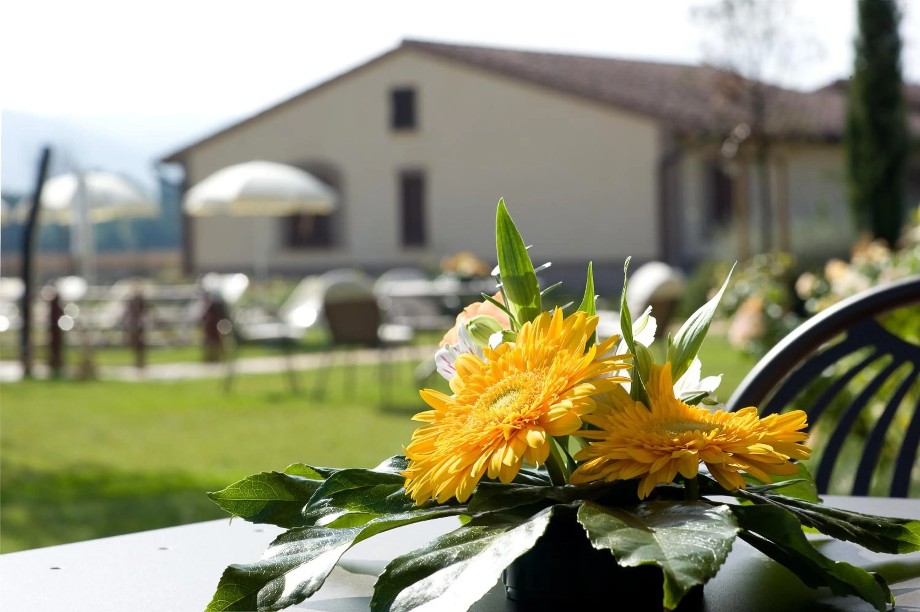 Decorative detail in Agriturismo Le Rondini Di Francesco Di Assisi