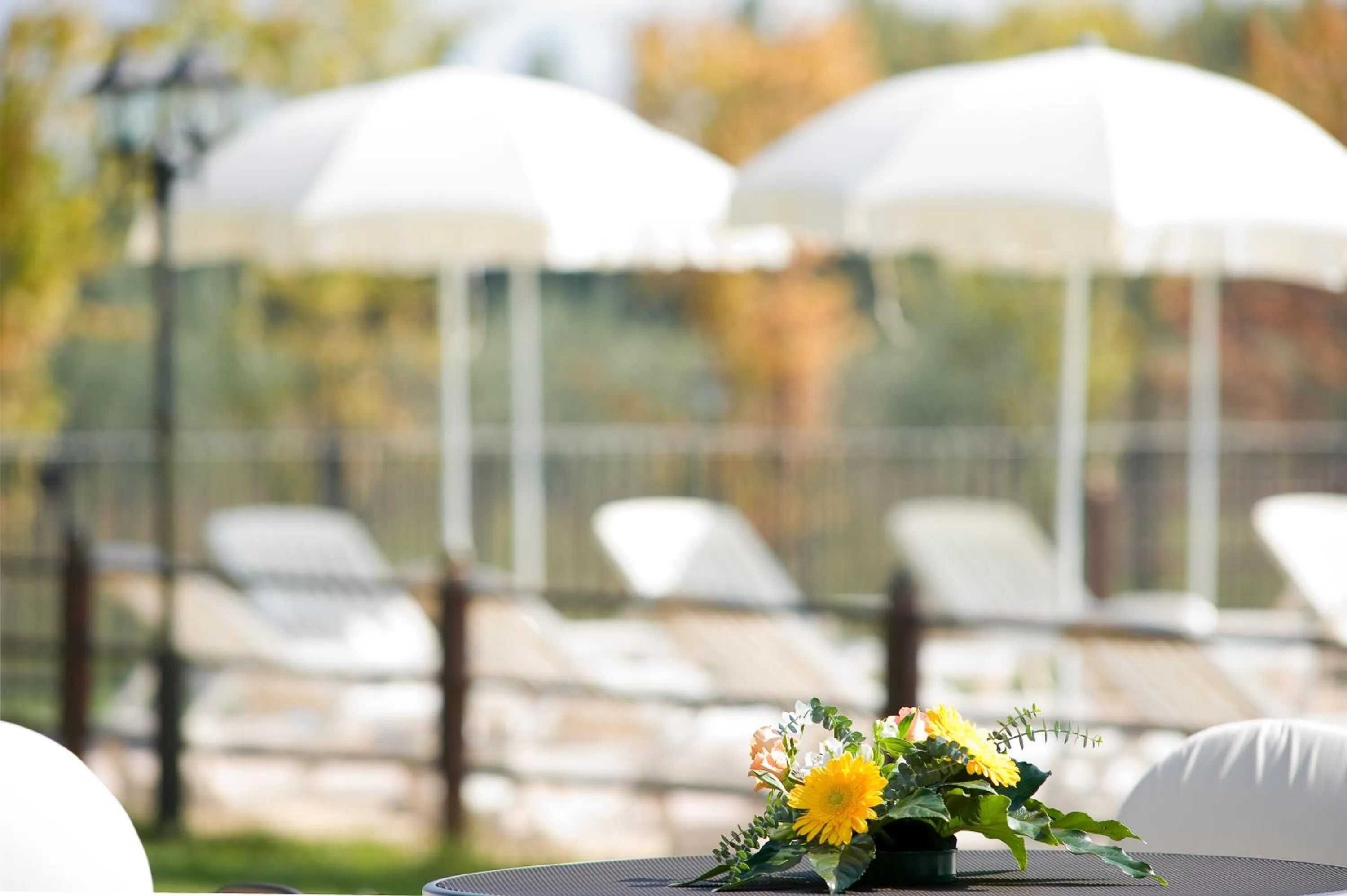 Autumn in Agriturismo Le Rondini Di Francesco Di Assisi