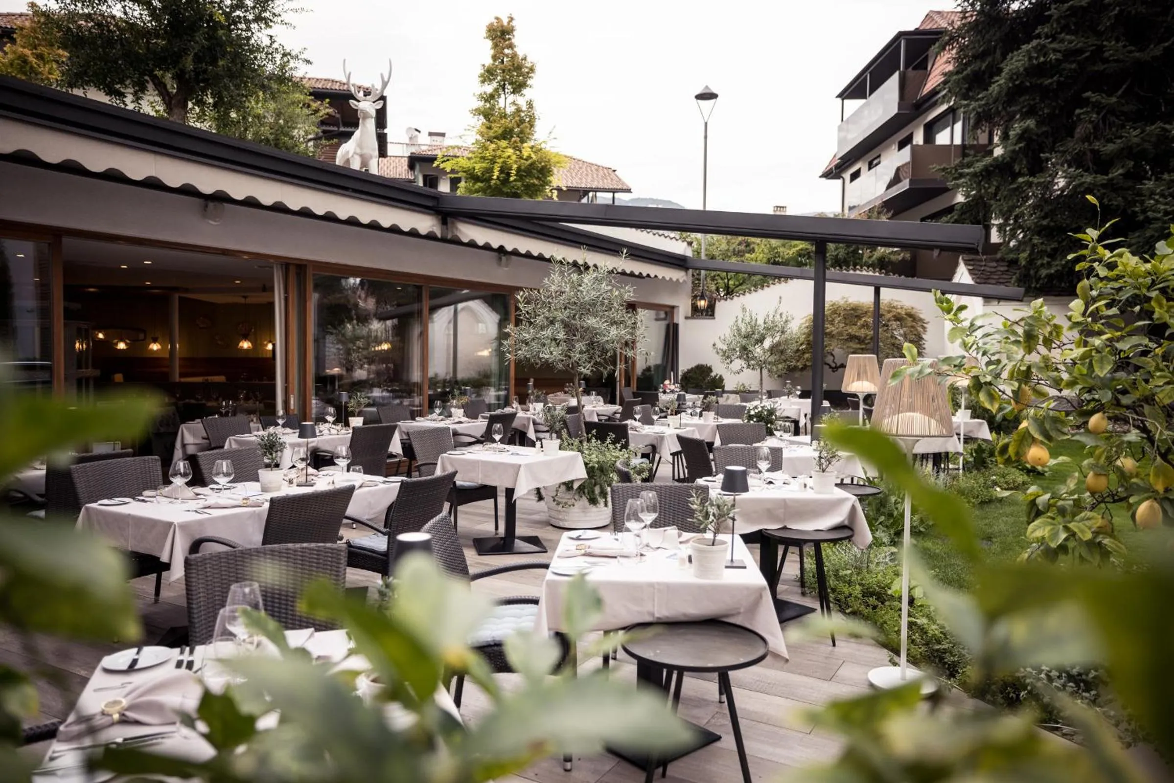 Patio in Boutique Hotel Zum Rosenbaum