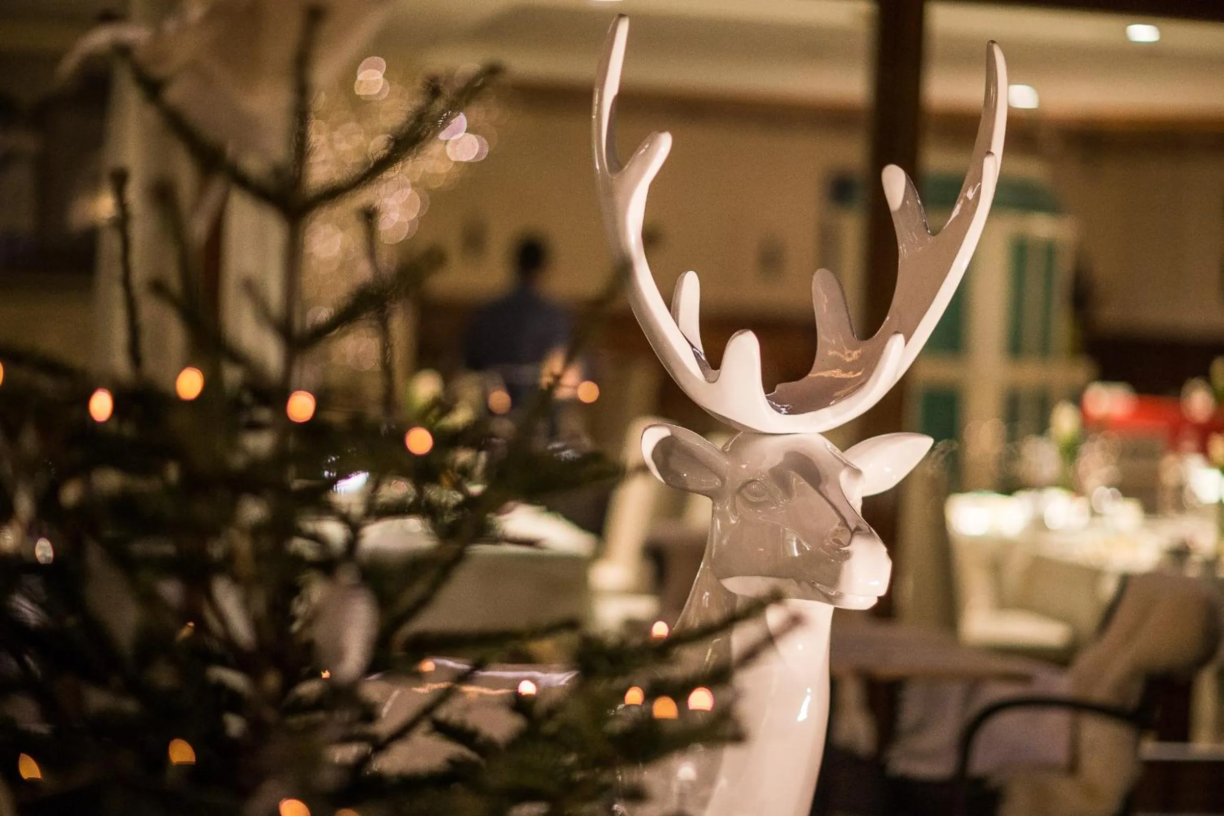 Winter in Boutique Hotel Zum Rosenbaum