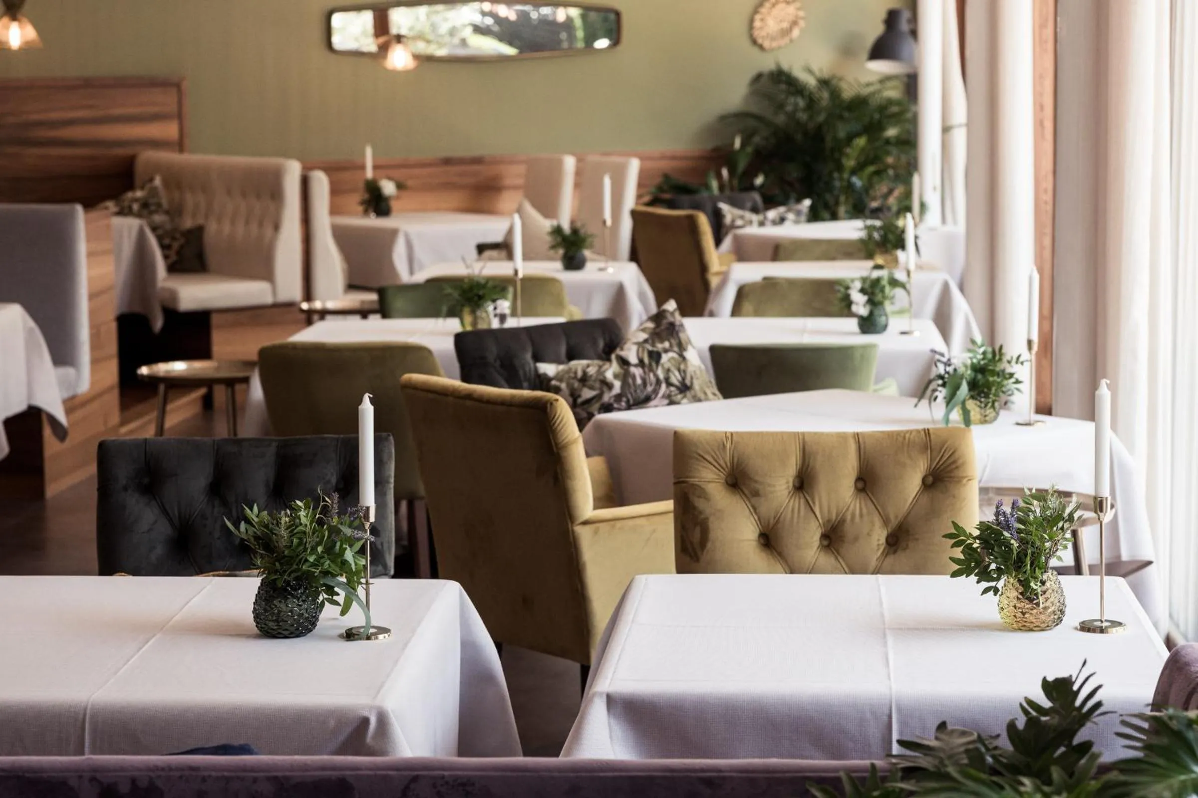 Restaurant/places to eat in Boutique Hotel Zum Rosenbaum
