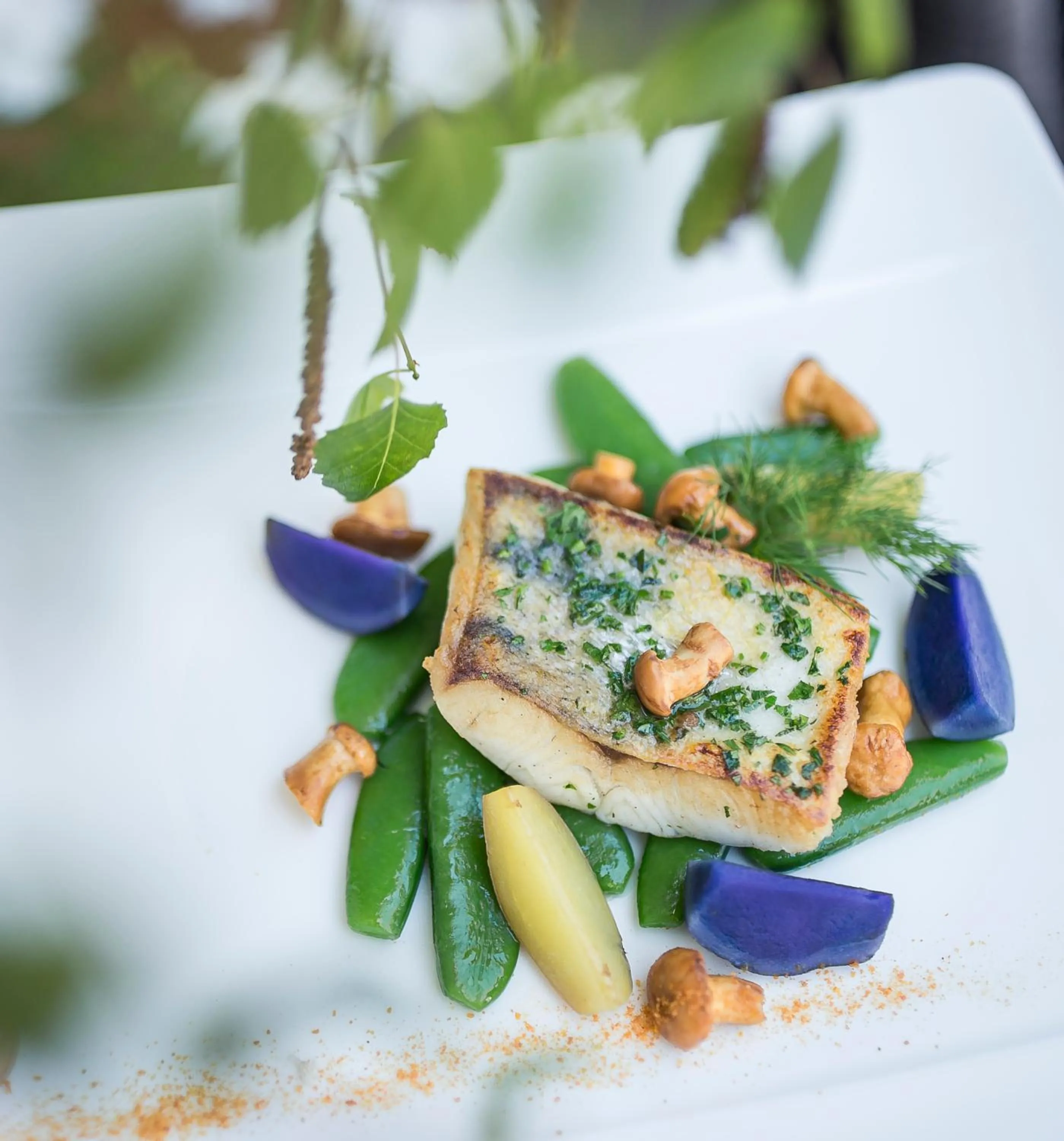 Food and drinks in Boutique Hotel Zum Rosenbaum