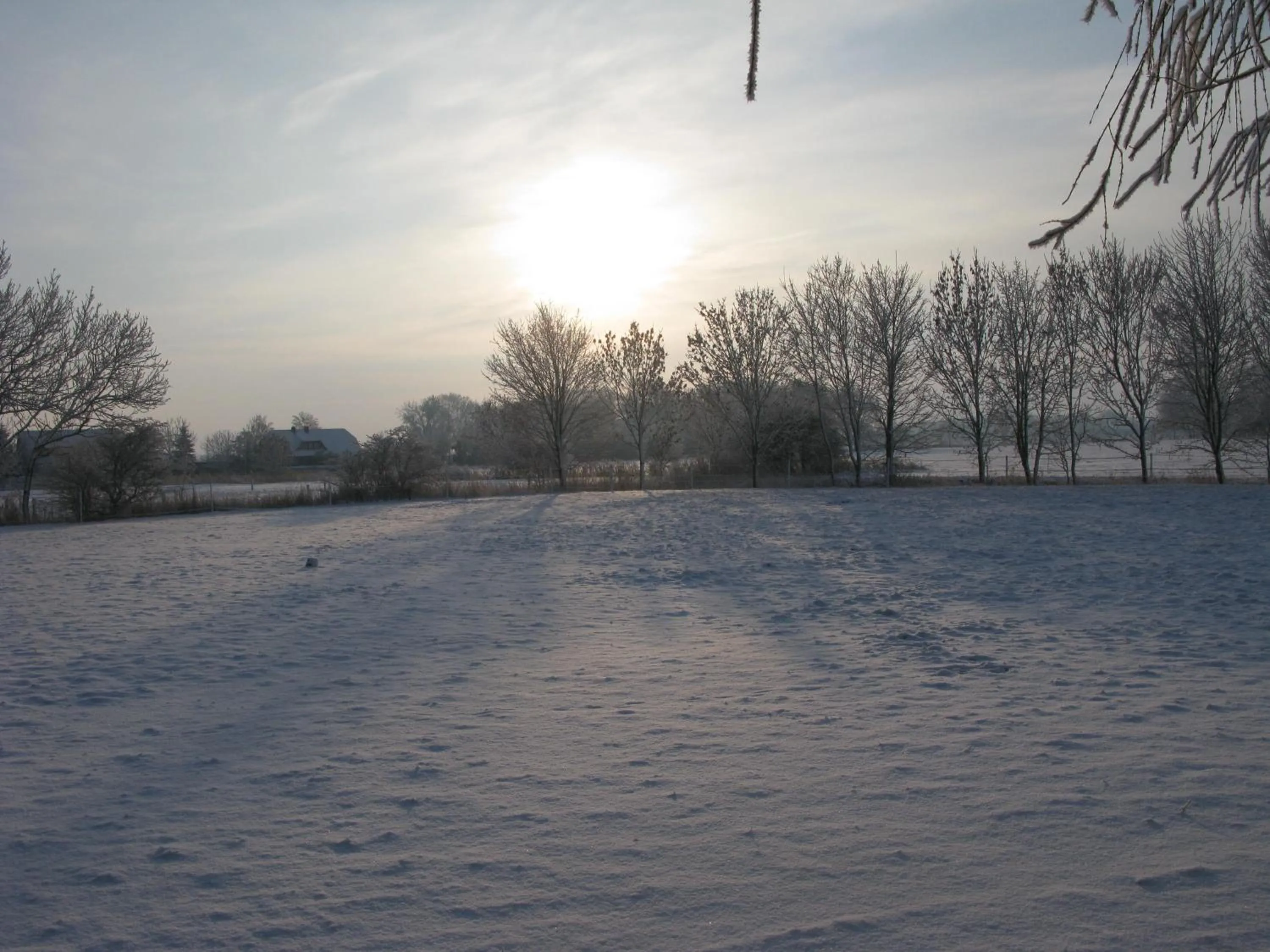 Natural landscape in Landhaus-Altebrücke