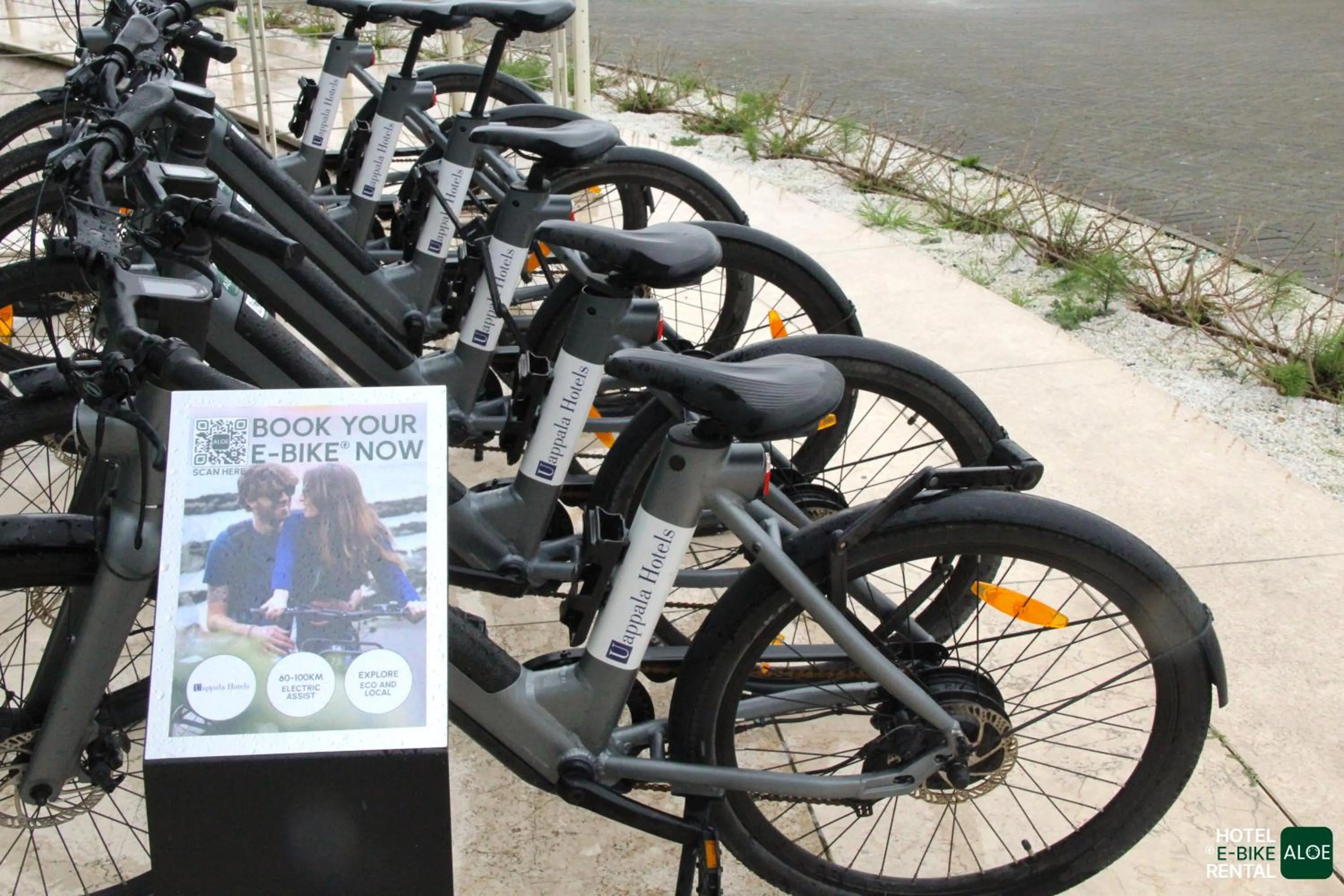 Area and facilities in Pisa Tower Plaza