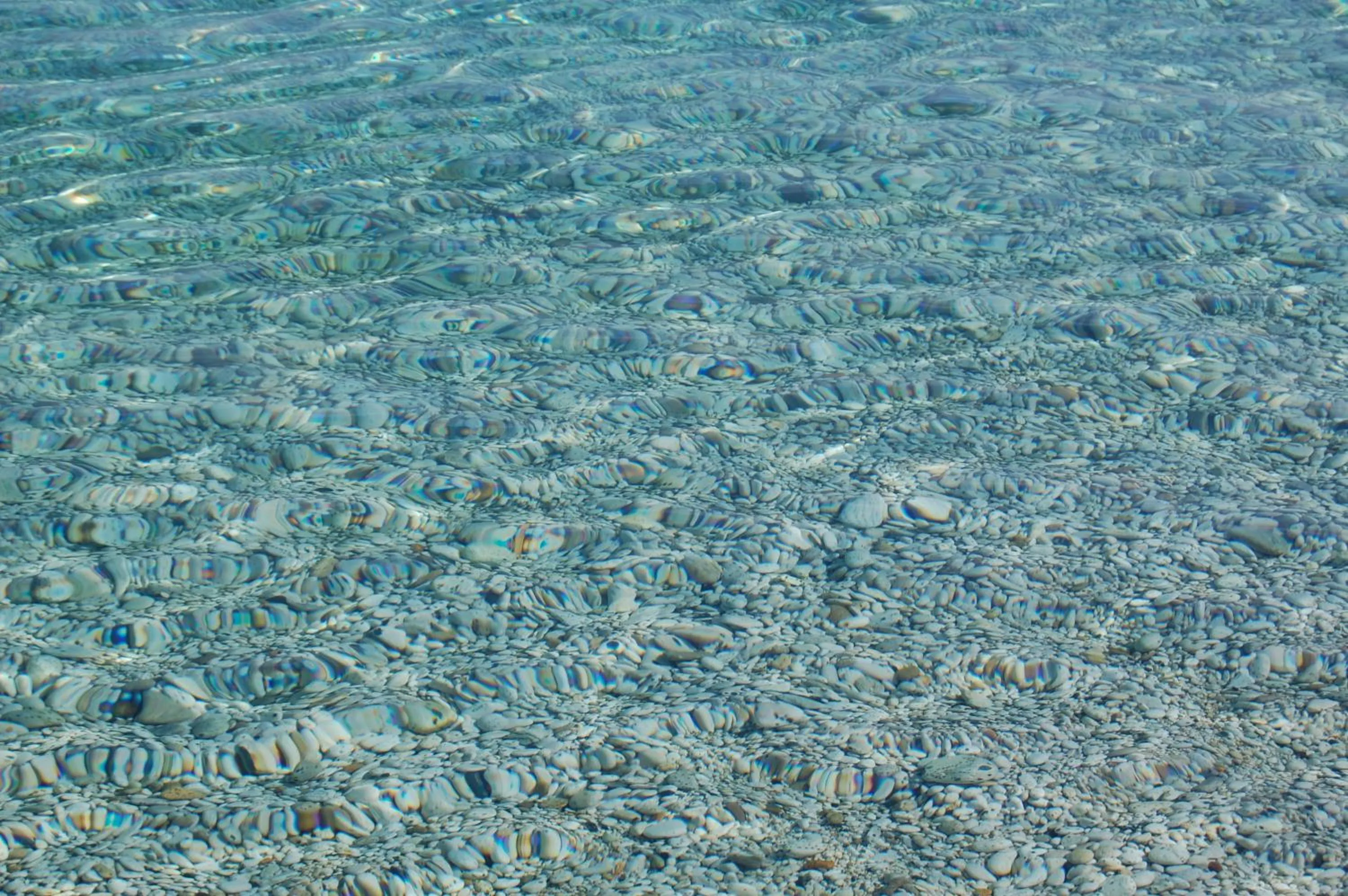 Beach in Hotel Villa Ombrosa