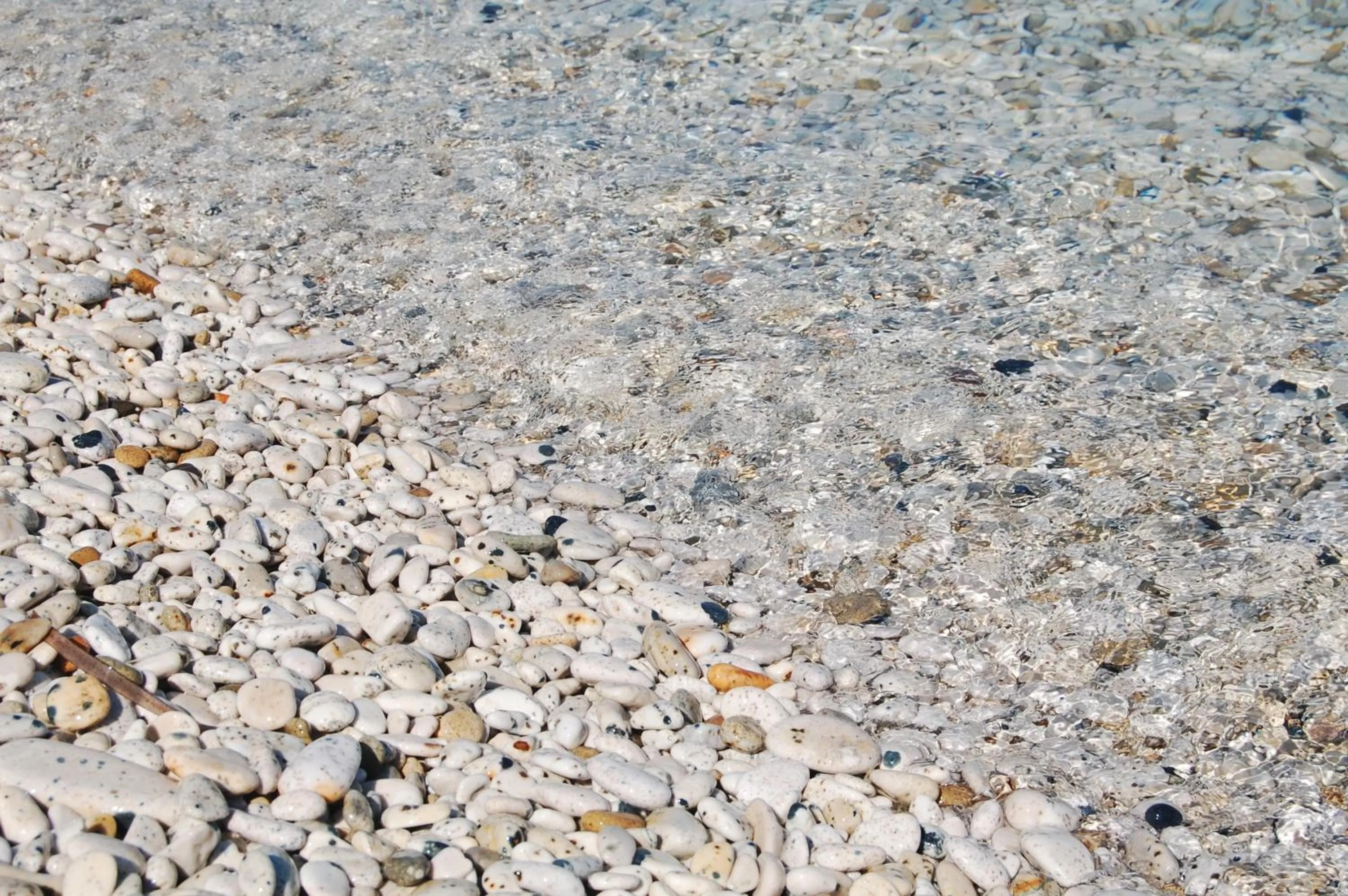 Beach in Hotel Villa Ombrosa