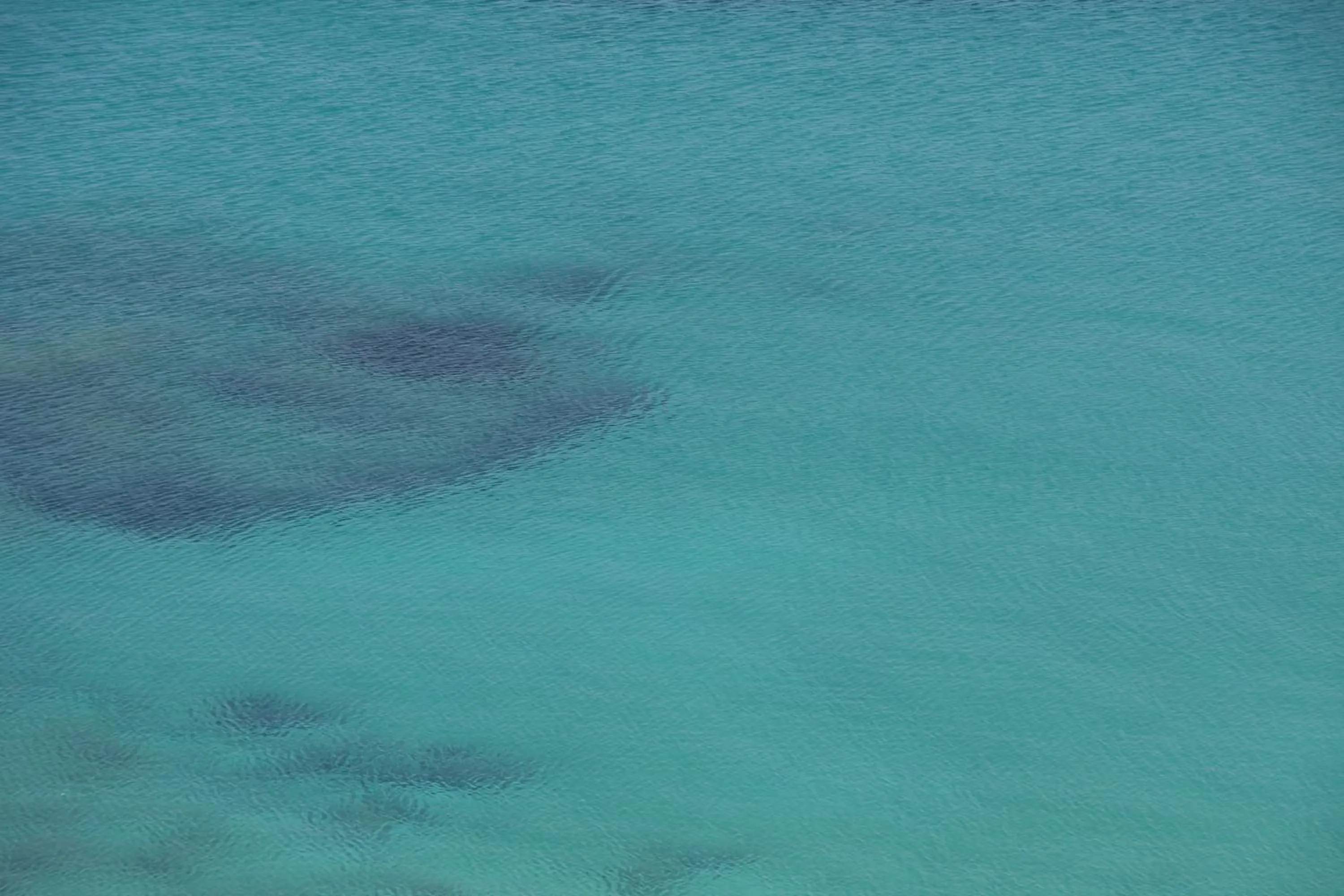 Sea view in Hotel Villa Ombrosa