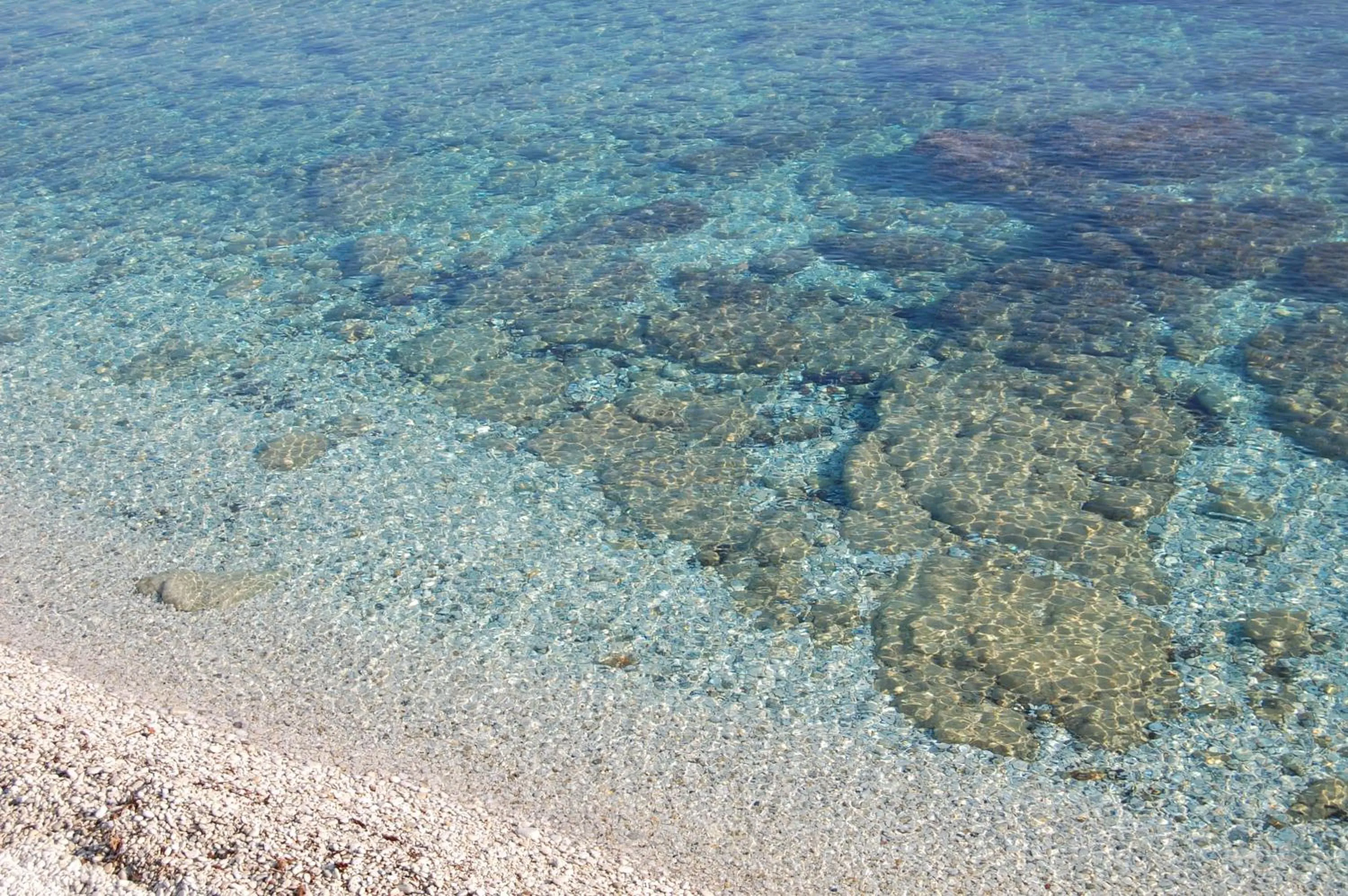 Beach in Hotel Villa Ombrosa