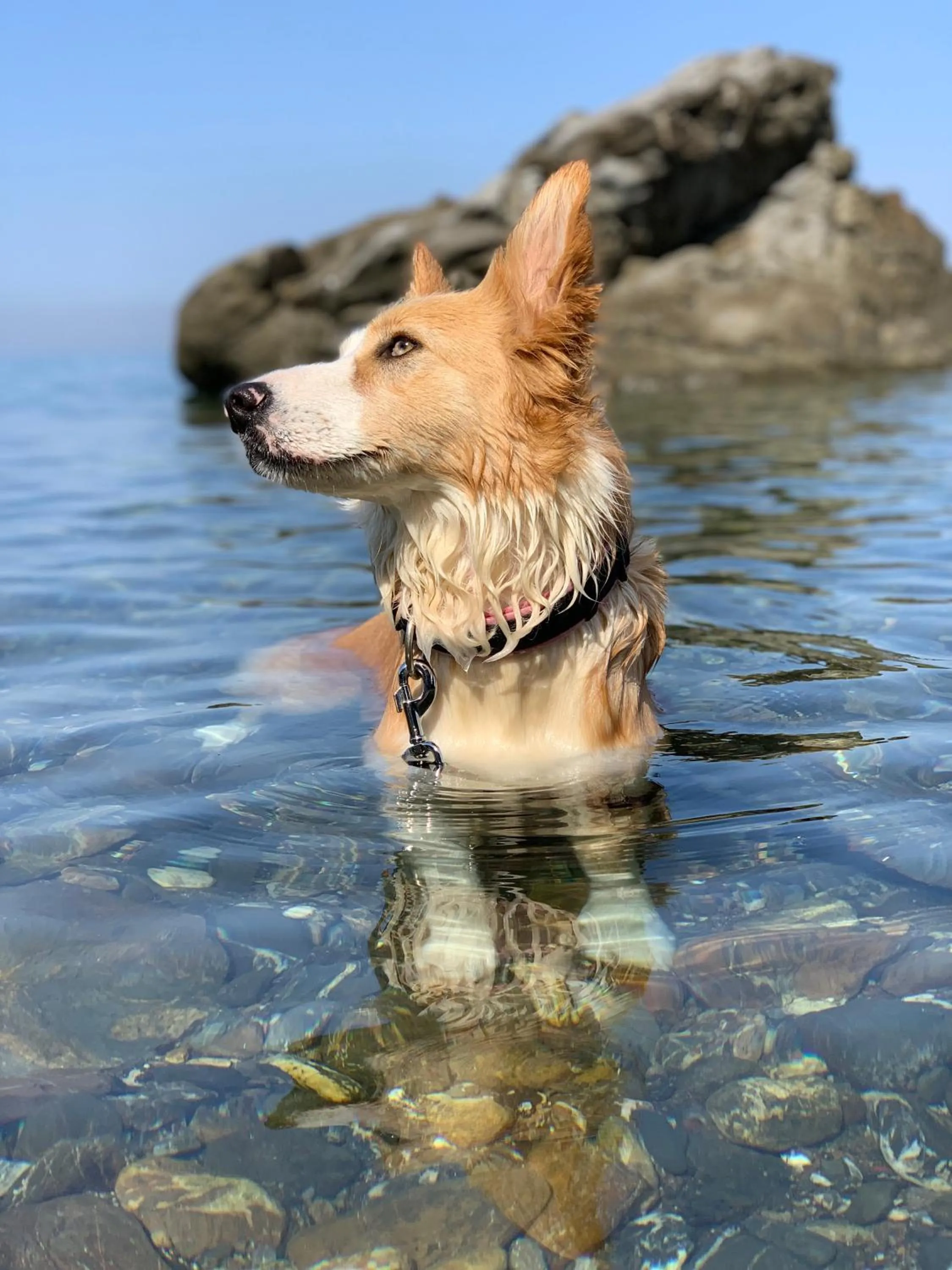 Sea view in Villaggio Miramare