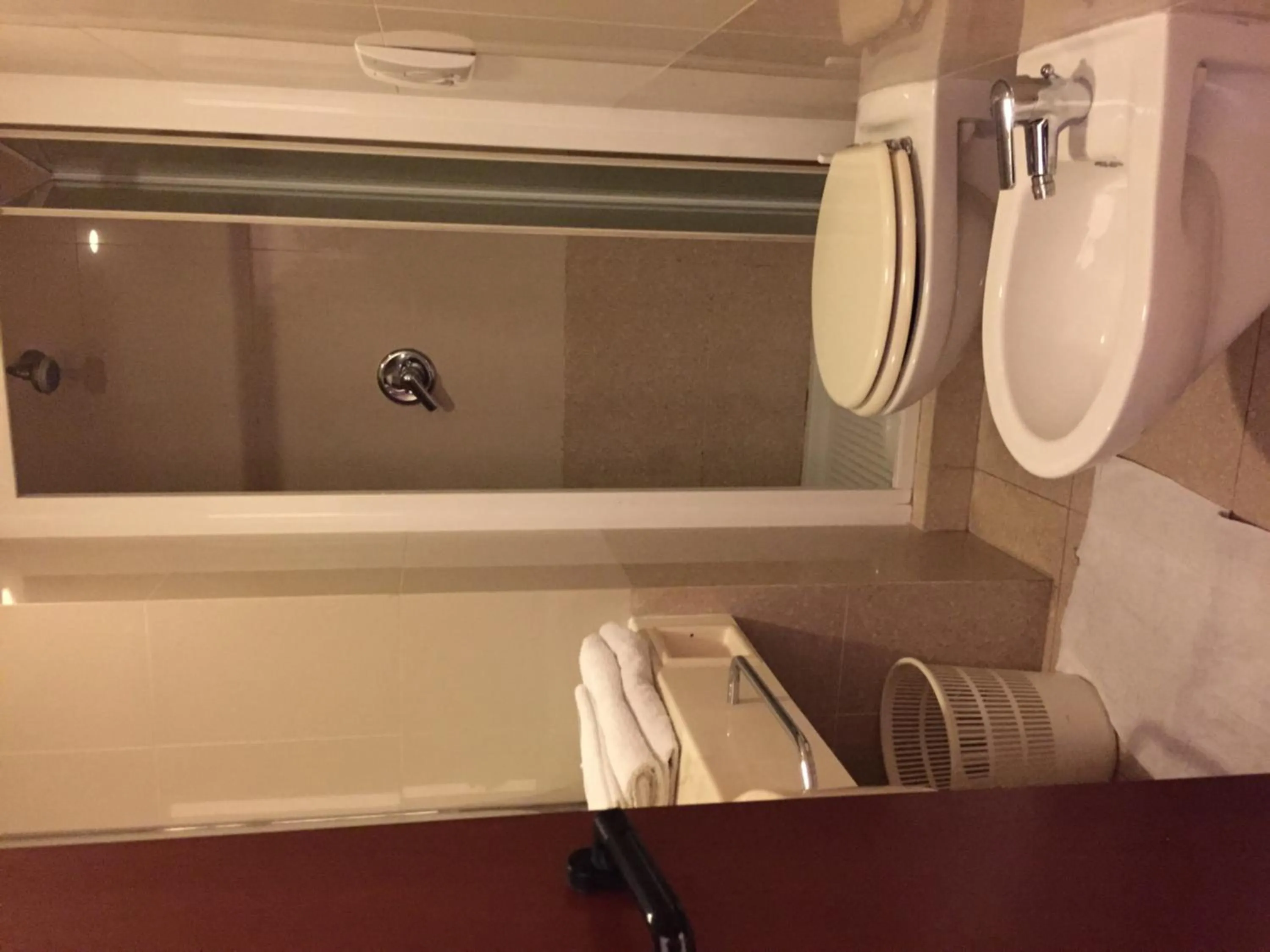 Bathroom in Hotel Nettuno