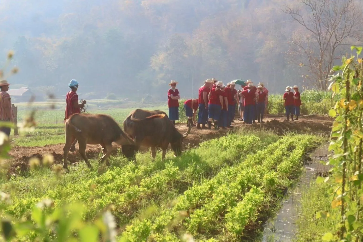 Activities in Maewin Guesthouse and Resort