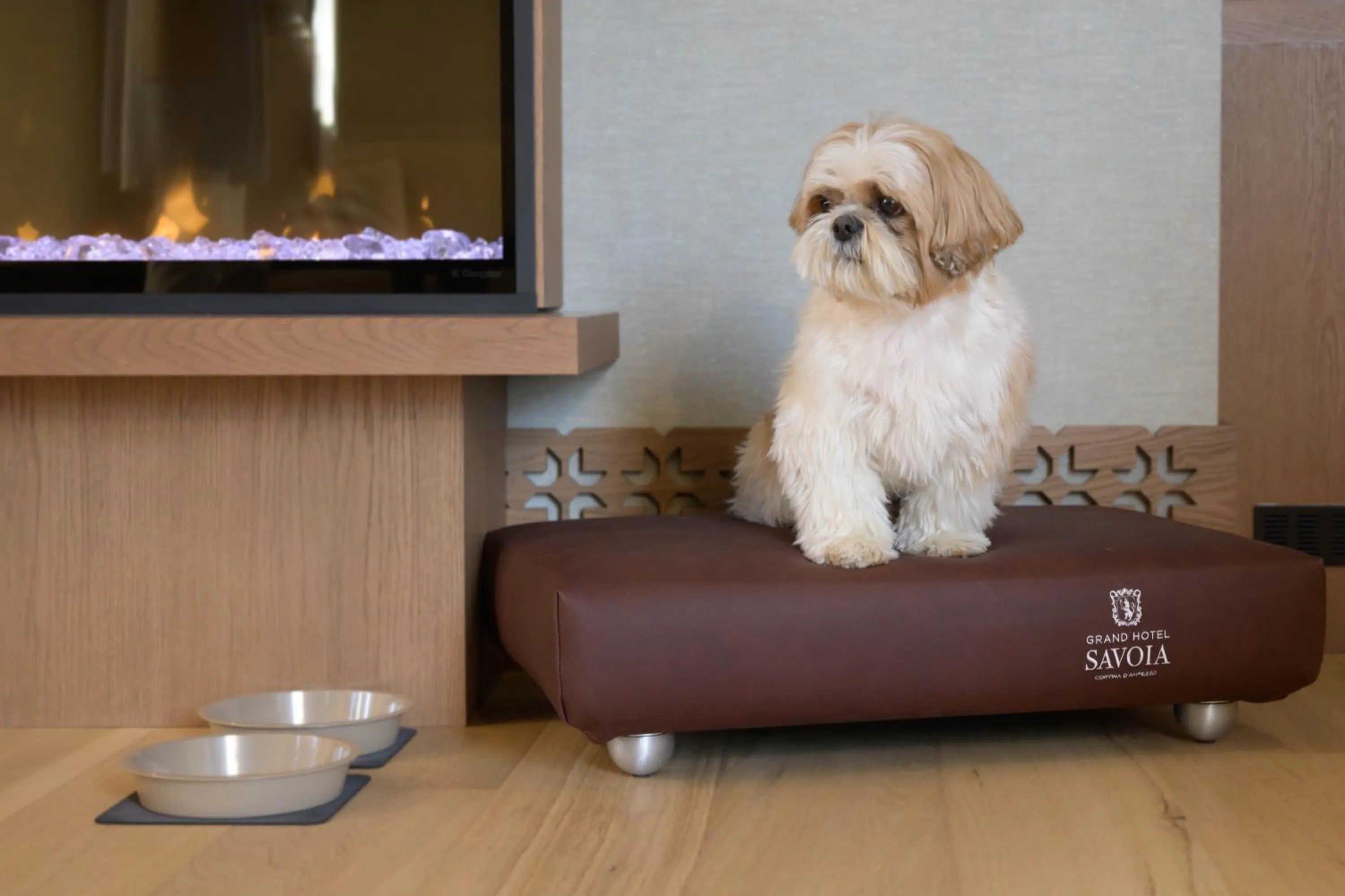 Pets in Grand Hotel Savoia Cortina d'Ampezzo, A Radisson Collection Hotel