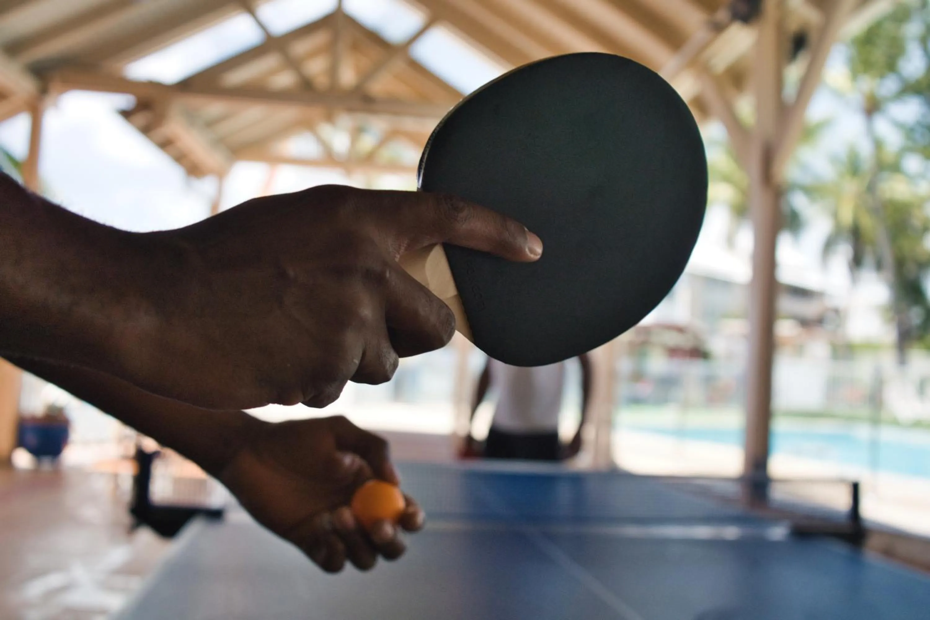 Table tennis in Hotel Auberge de la Vieille Tour