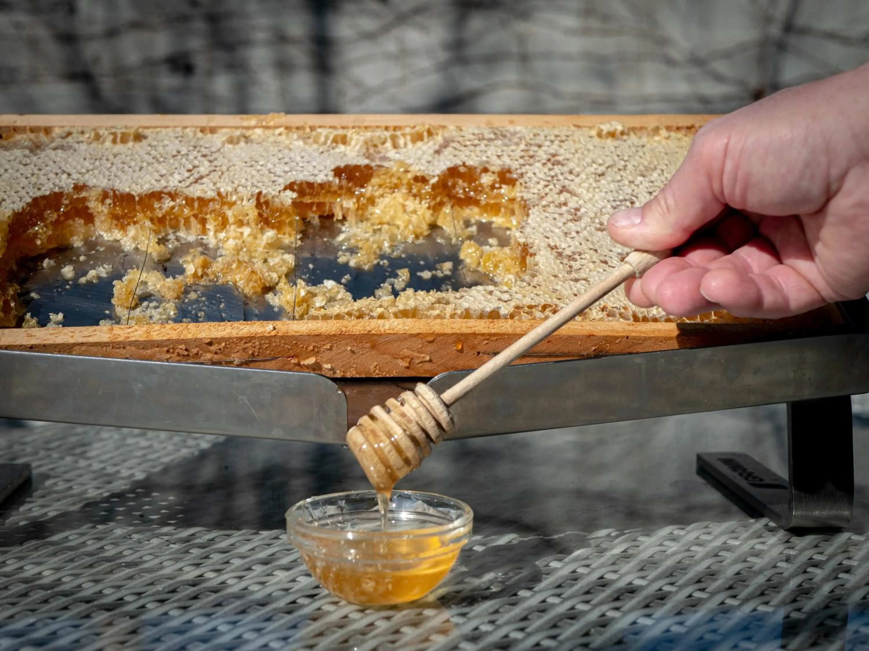 Breakfast in Hotel D120