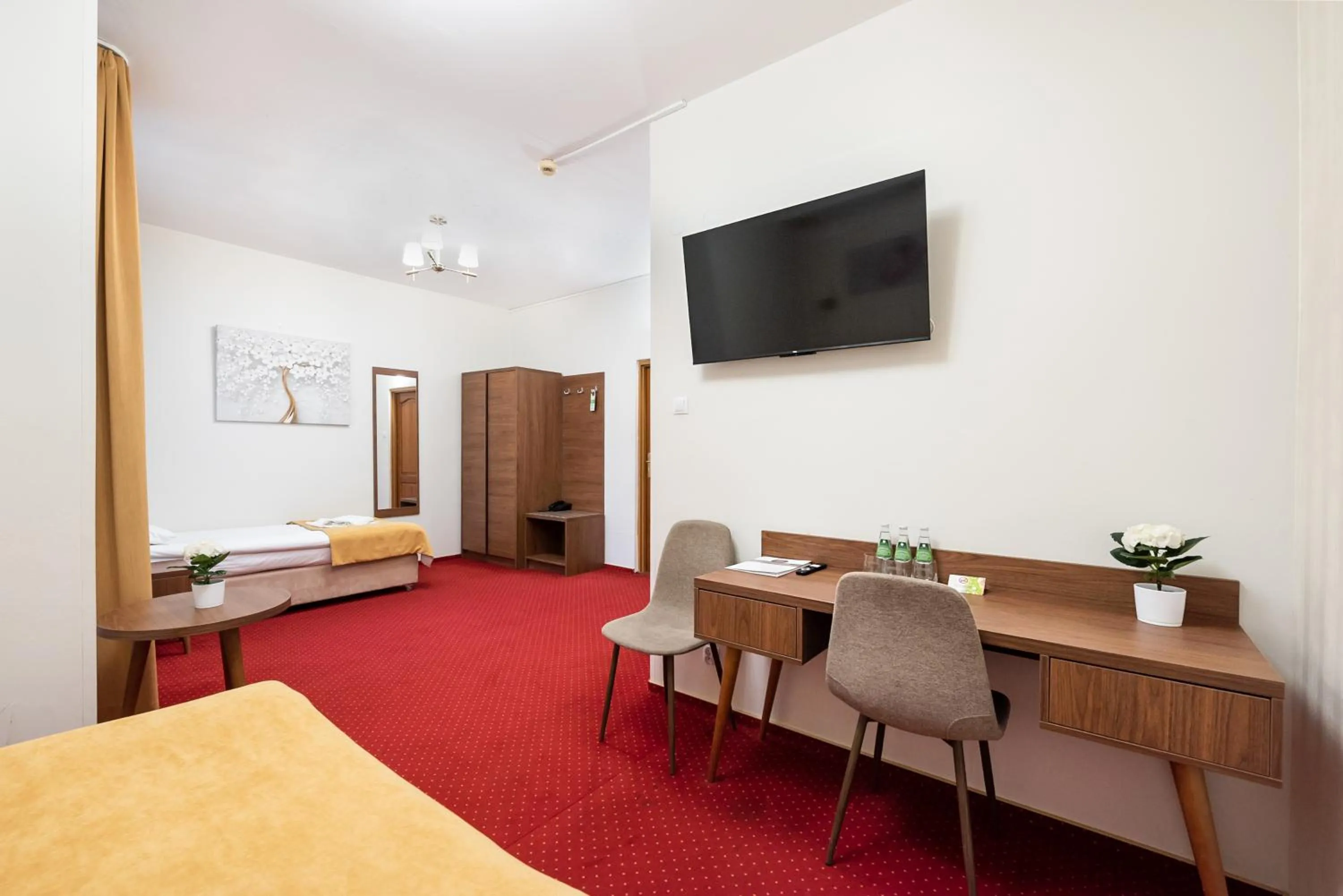 Photo of the whole room in Hotel Arkadia