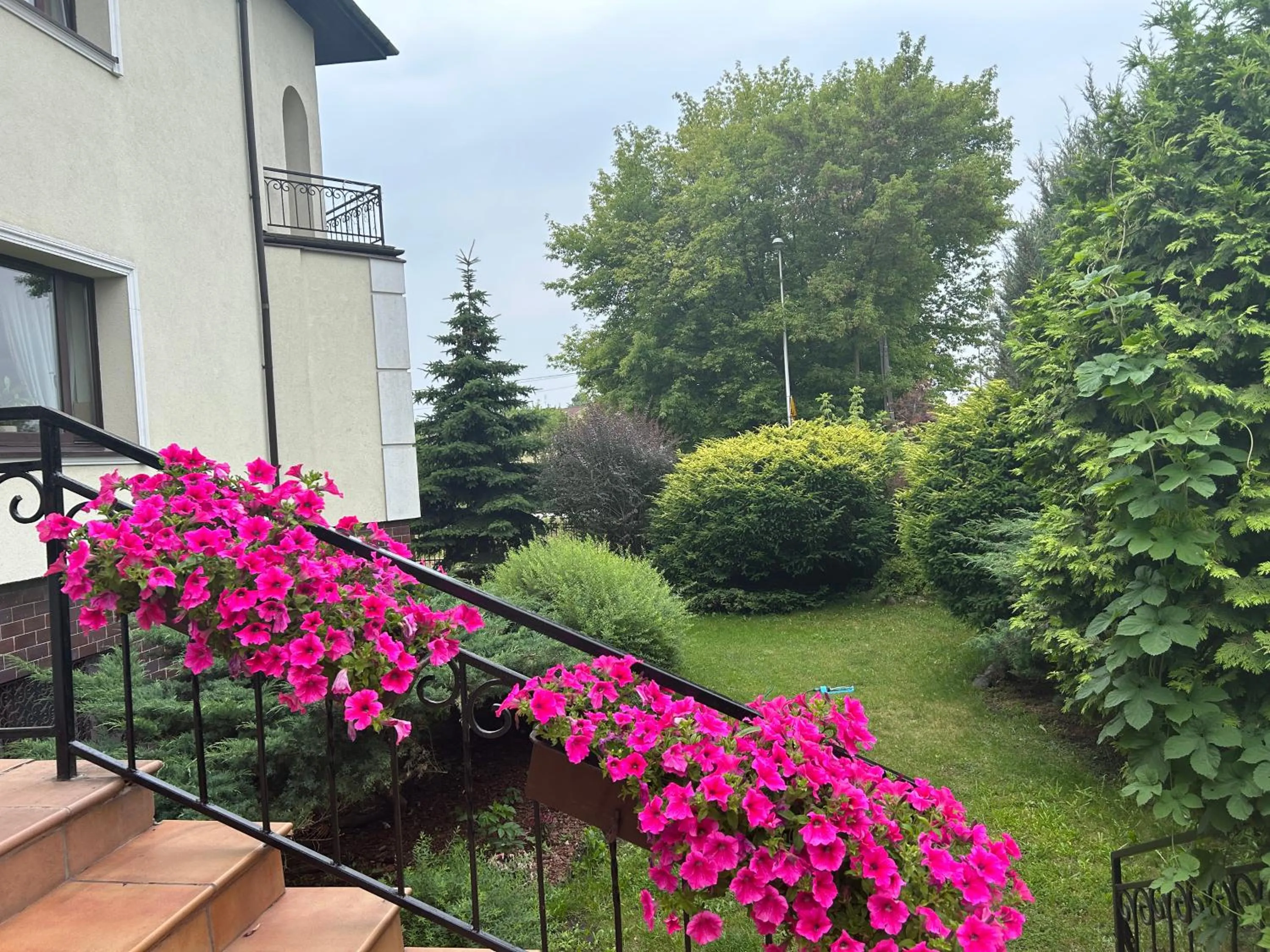 Garden in Hotel Arkadia