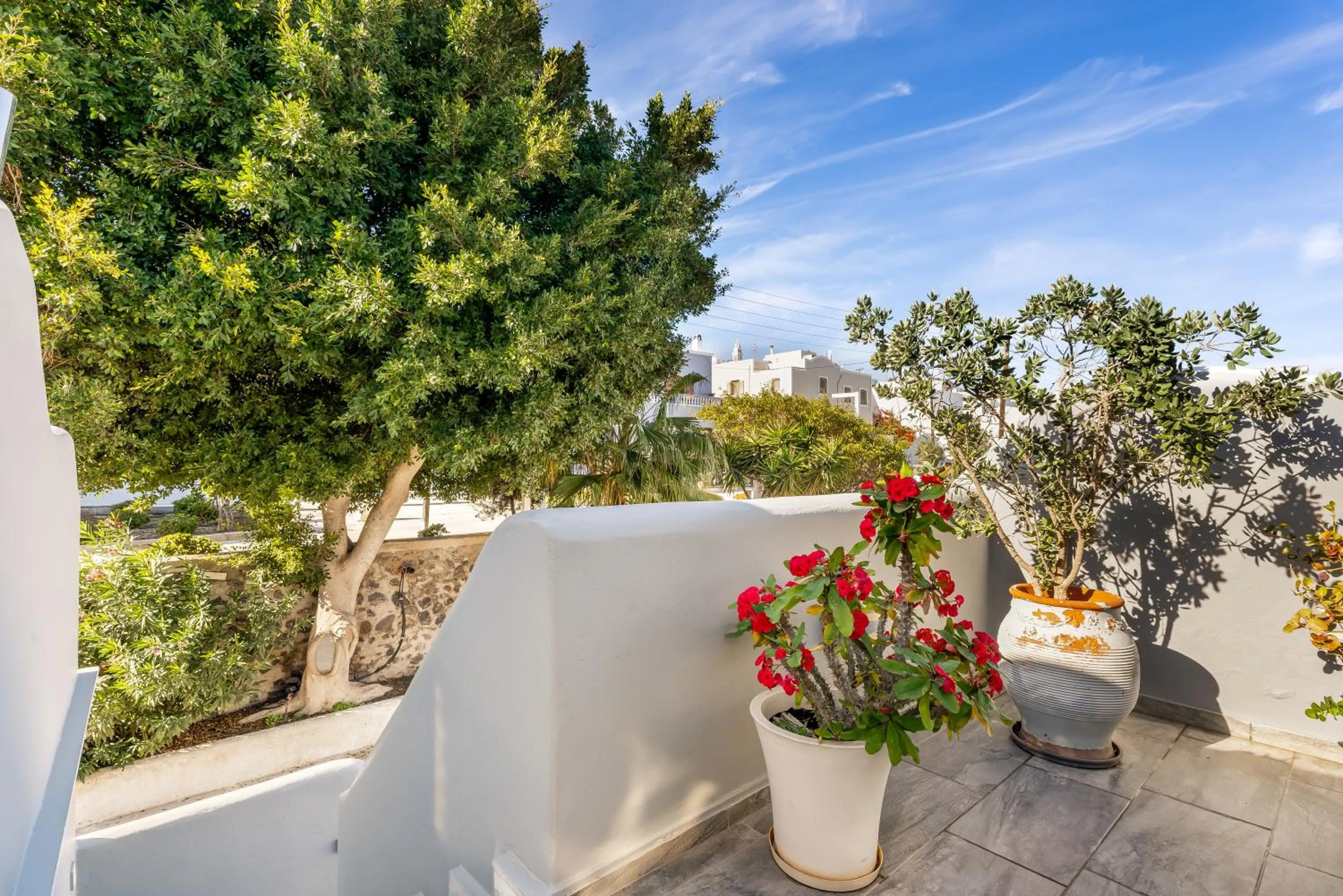 Garden in Oasis Hotel