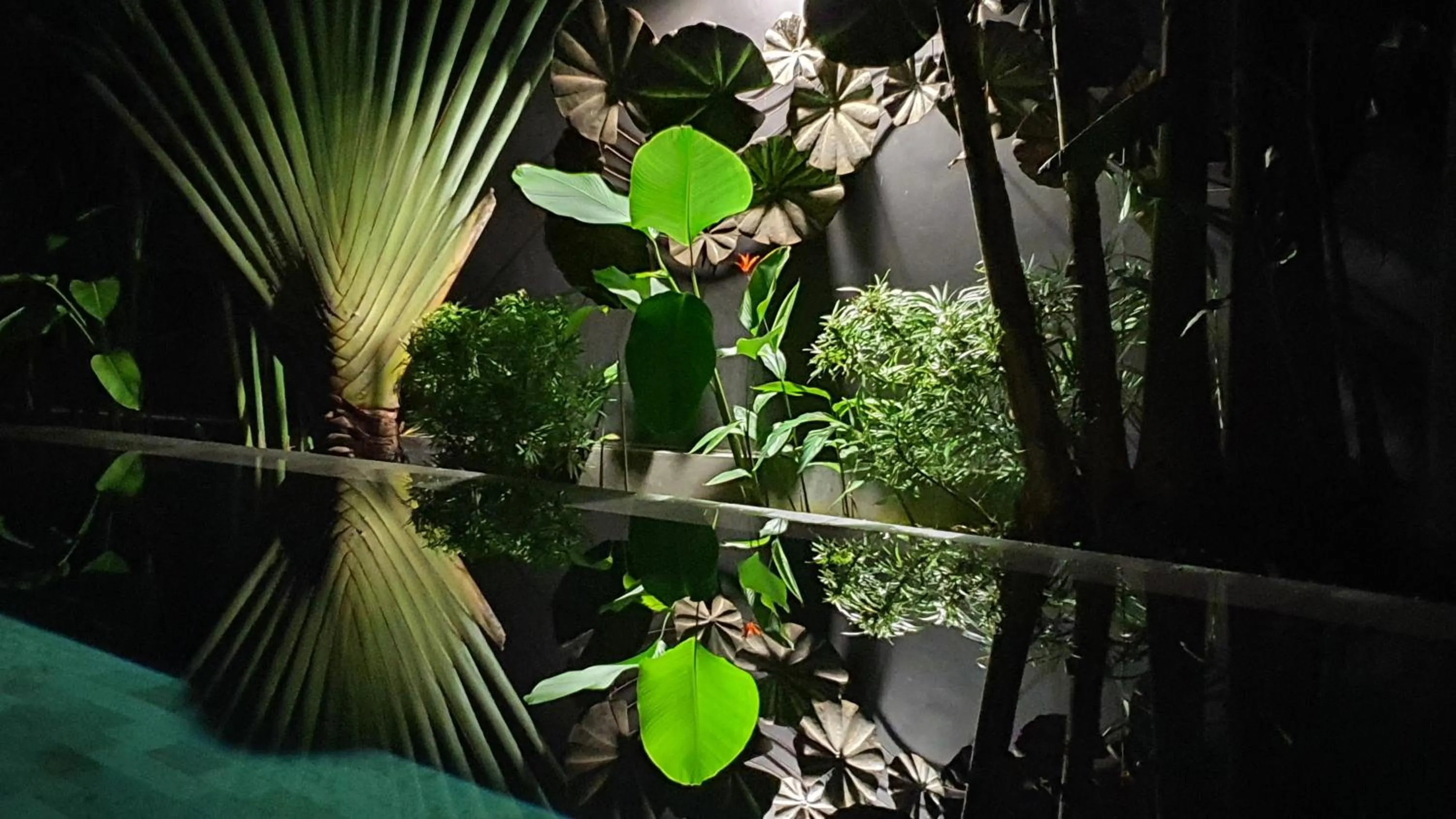 View (from property/room) in Villa LeoNora