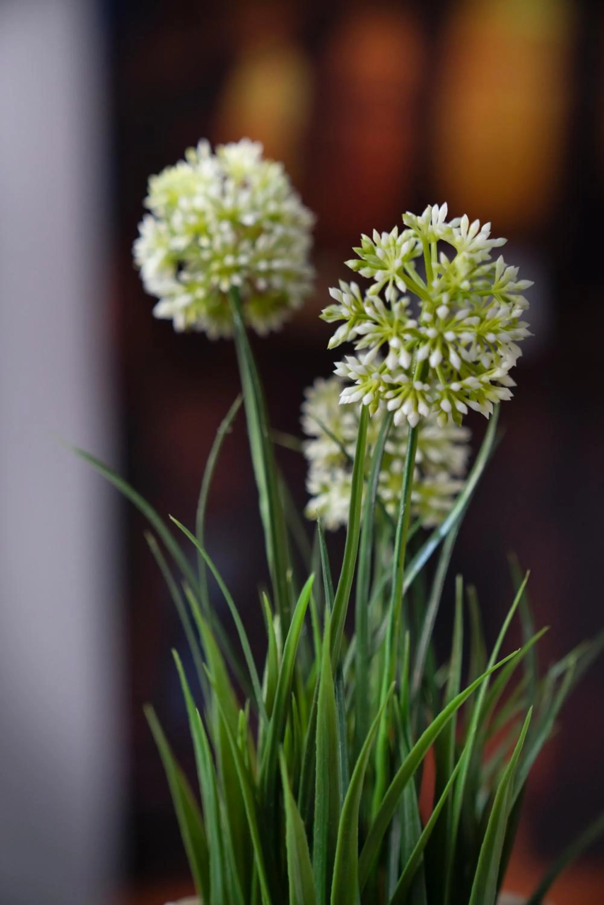 Bedroom in Merulana Star