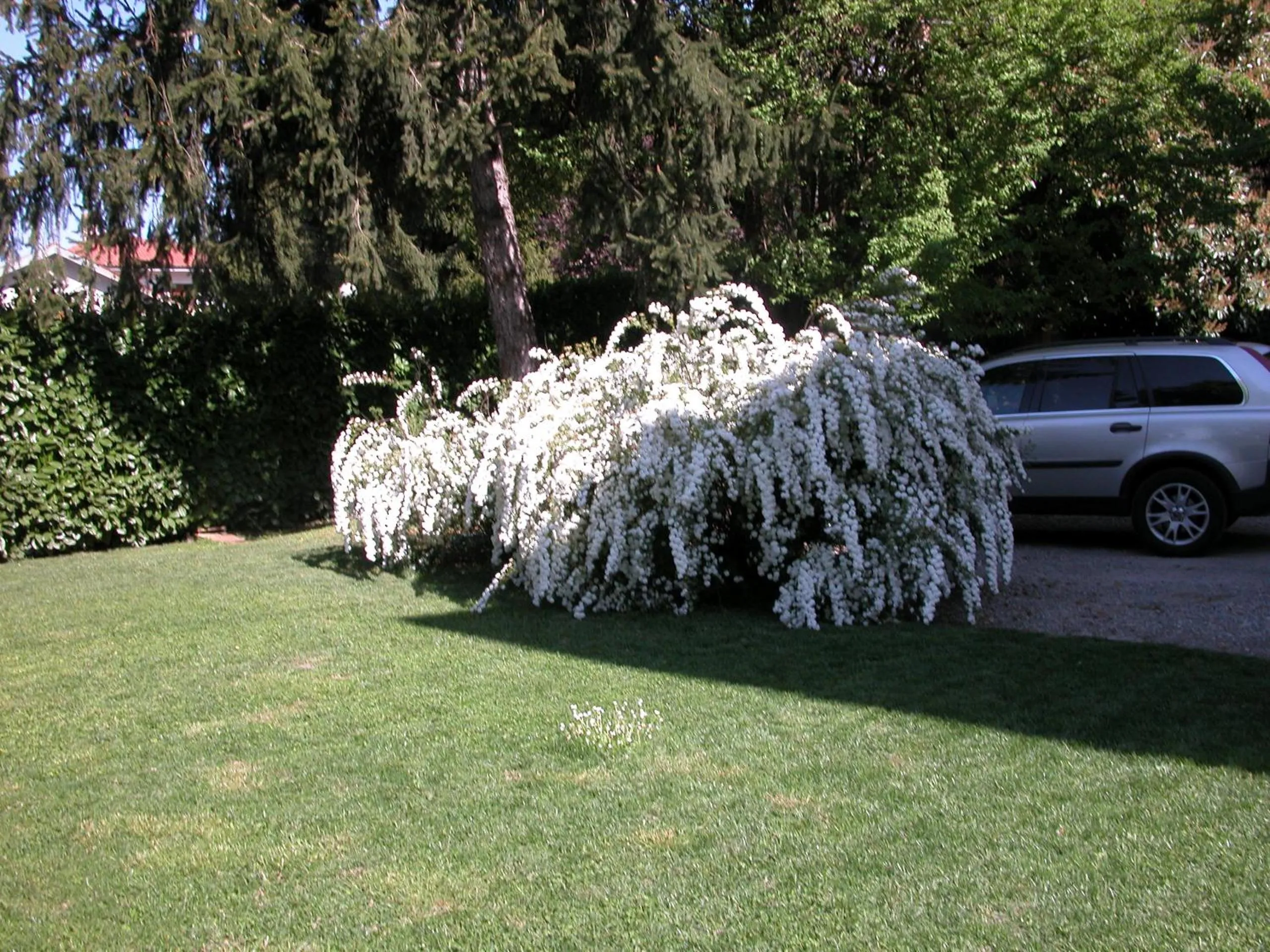 Day in Villa D'Azeglio