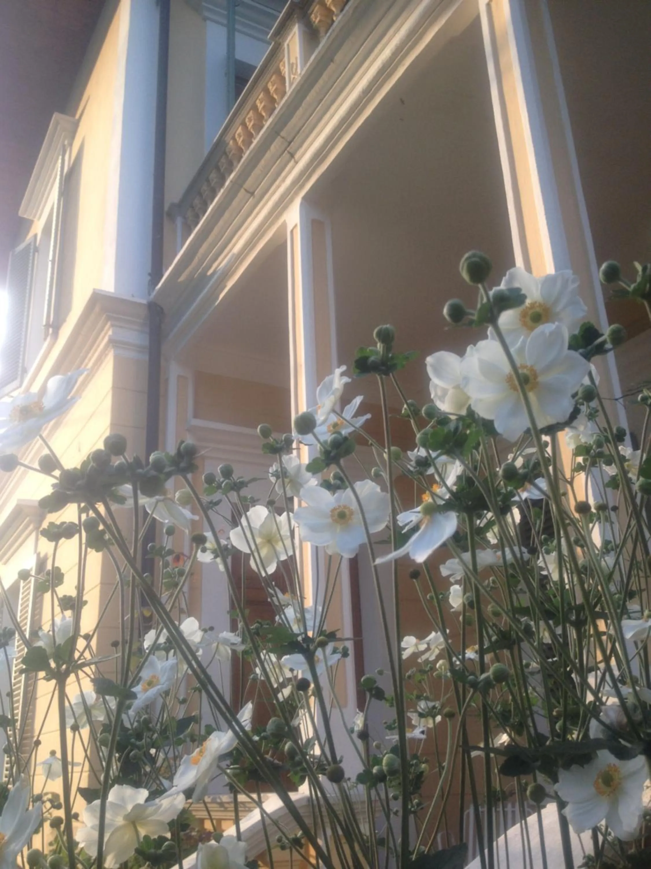 Balcony/Terrace in Villa D'Azeglio
