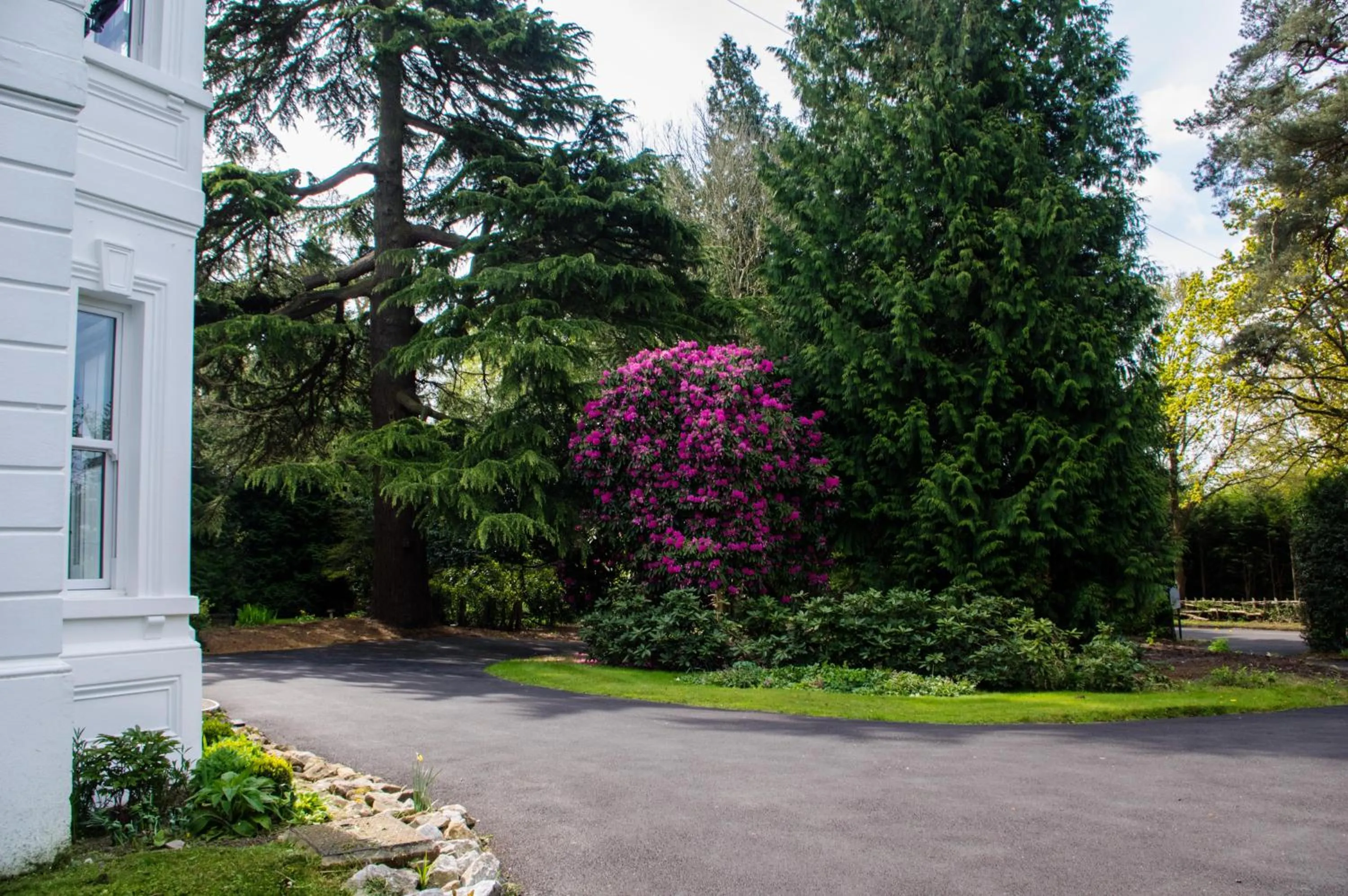 View (from property/room) in Claridge House Retreat Centre