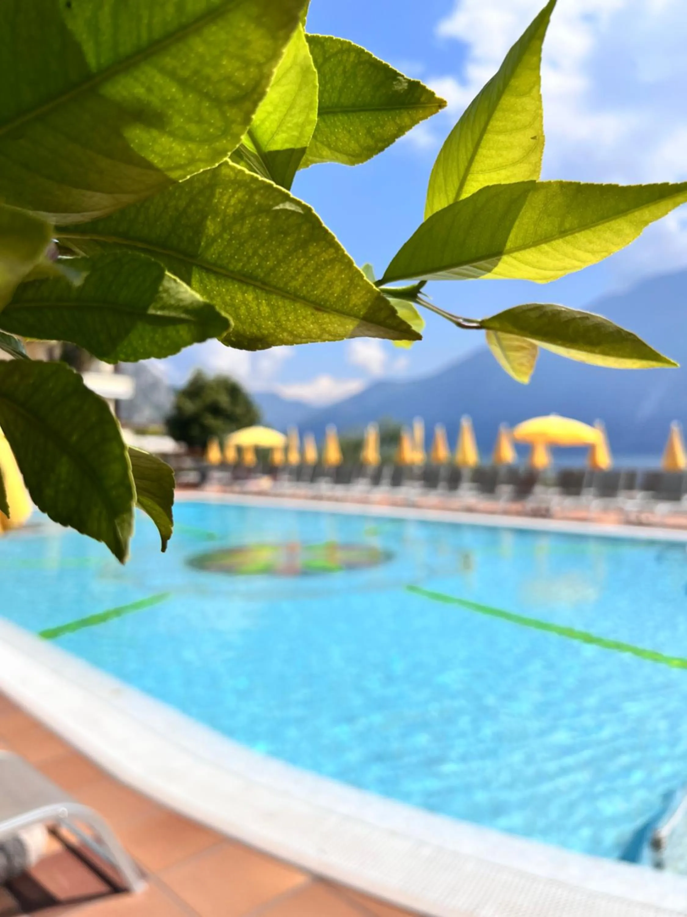 Swimming pool in Hotel Ilma Lake Garda Resort