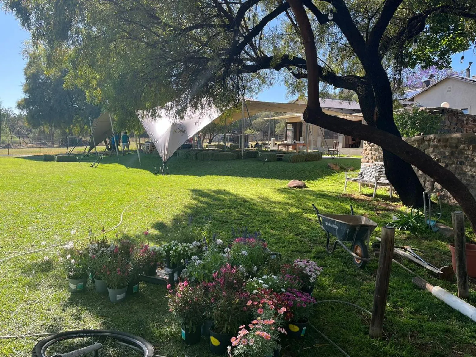 Garden in A Little Guesthouse