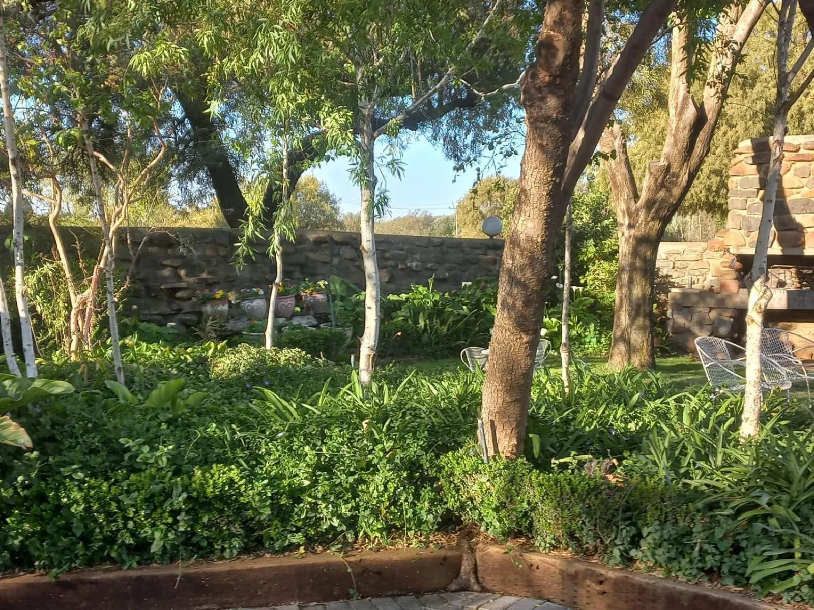 Garden in A Little Guesthouse