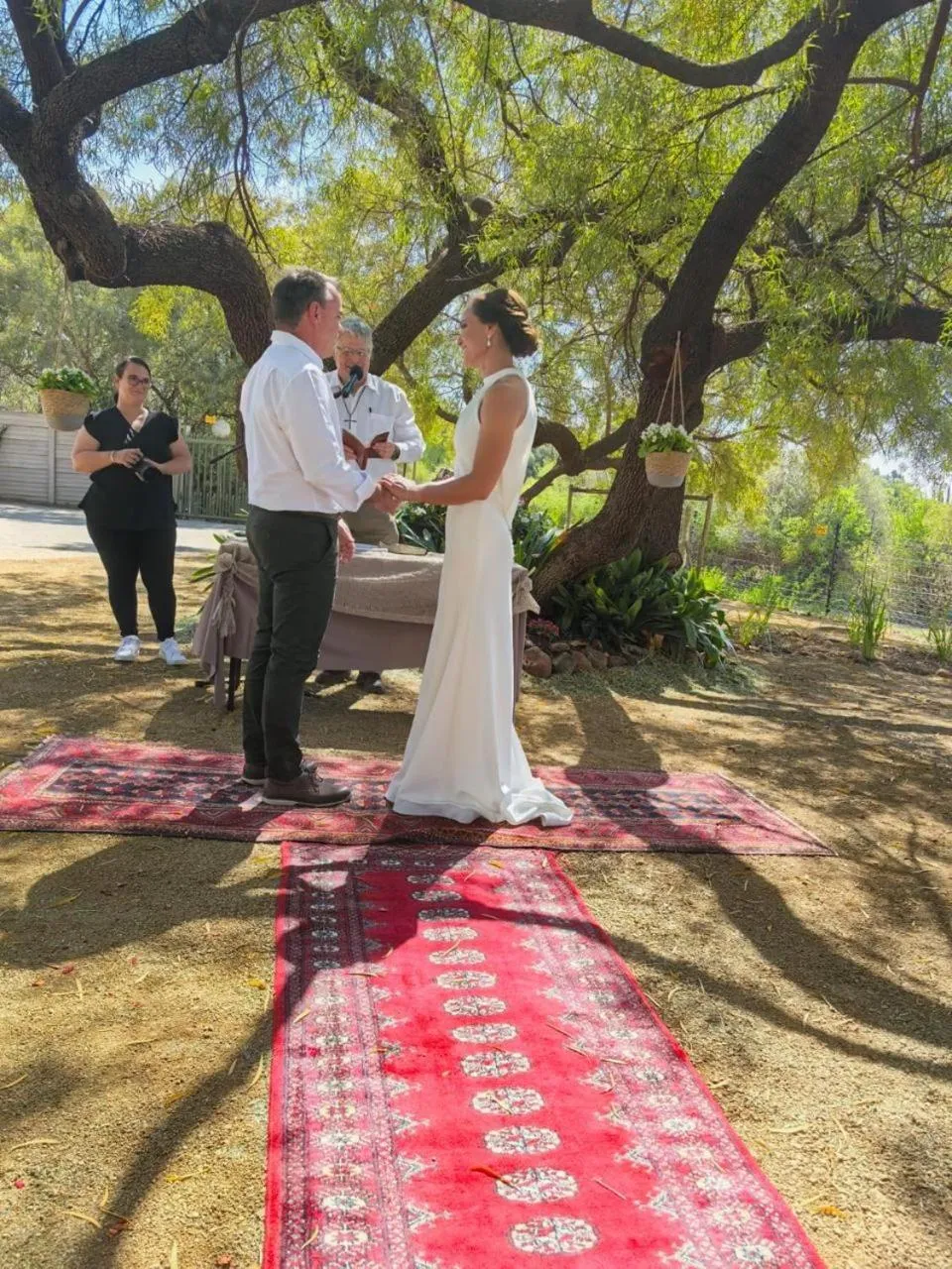 Garden view in A Little Guesthouse