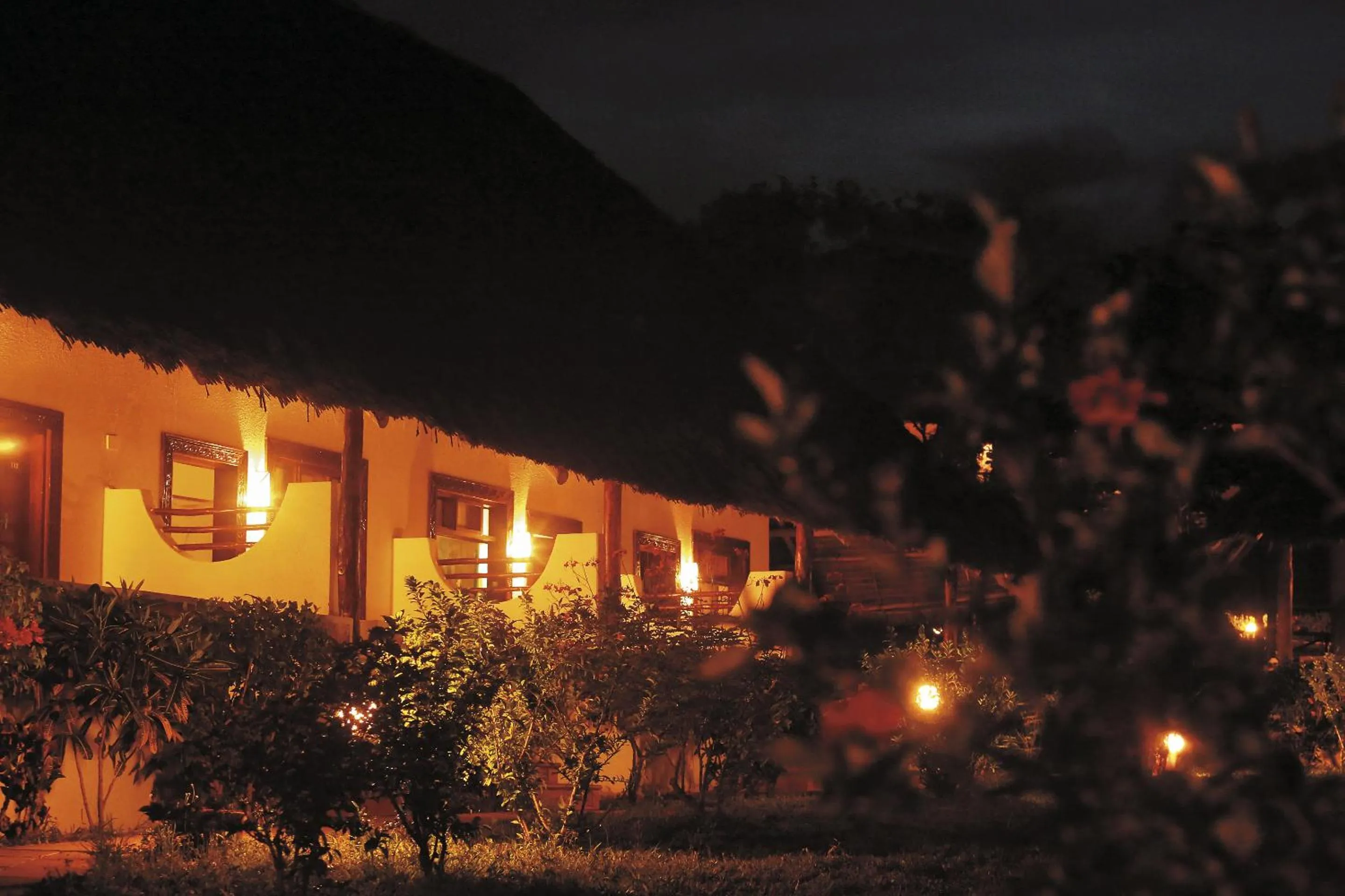 Garden in Hotel Club Dongwe