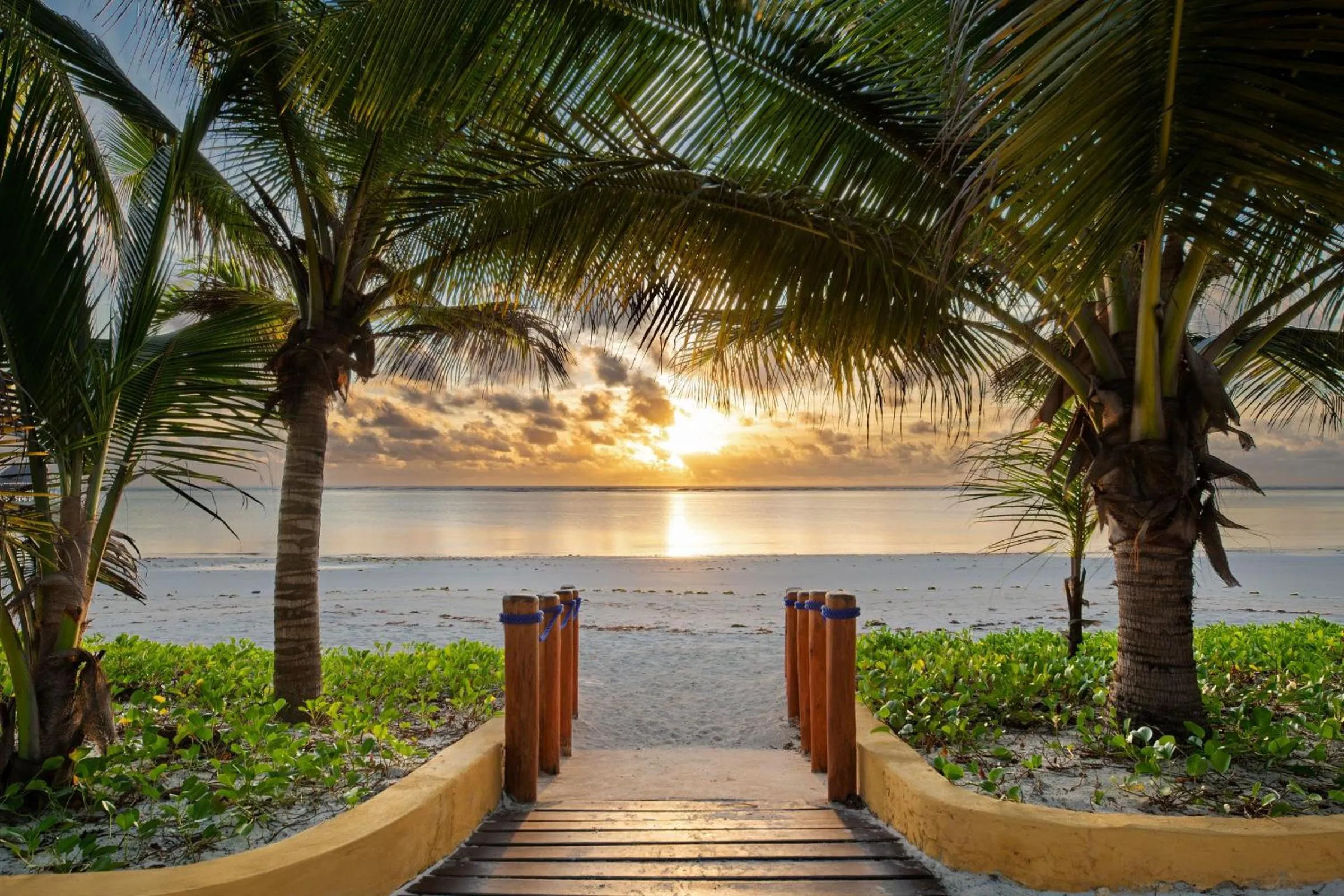 Natural landscape in Hotel Club Dongwe