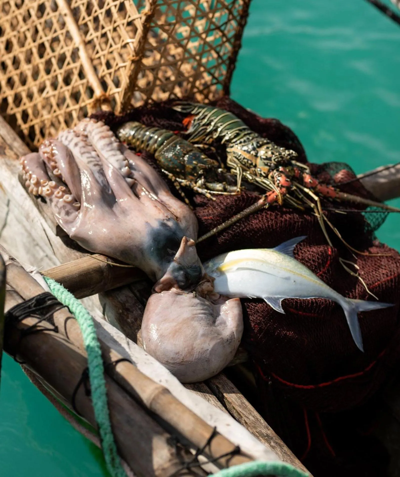Food and drinks in Hotel Club Dongwe
