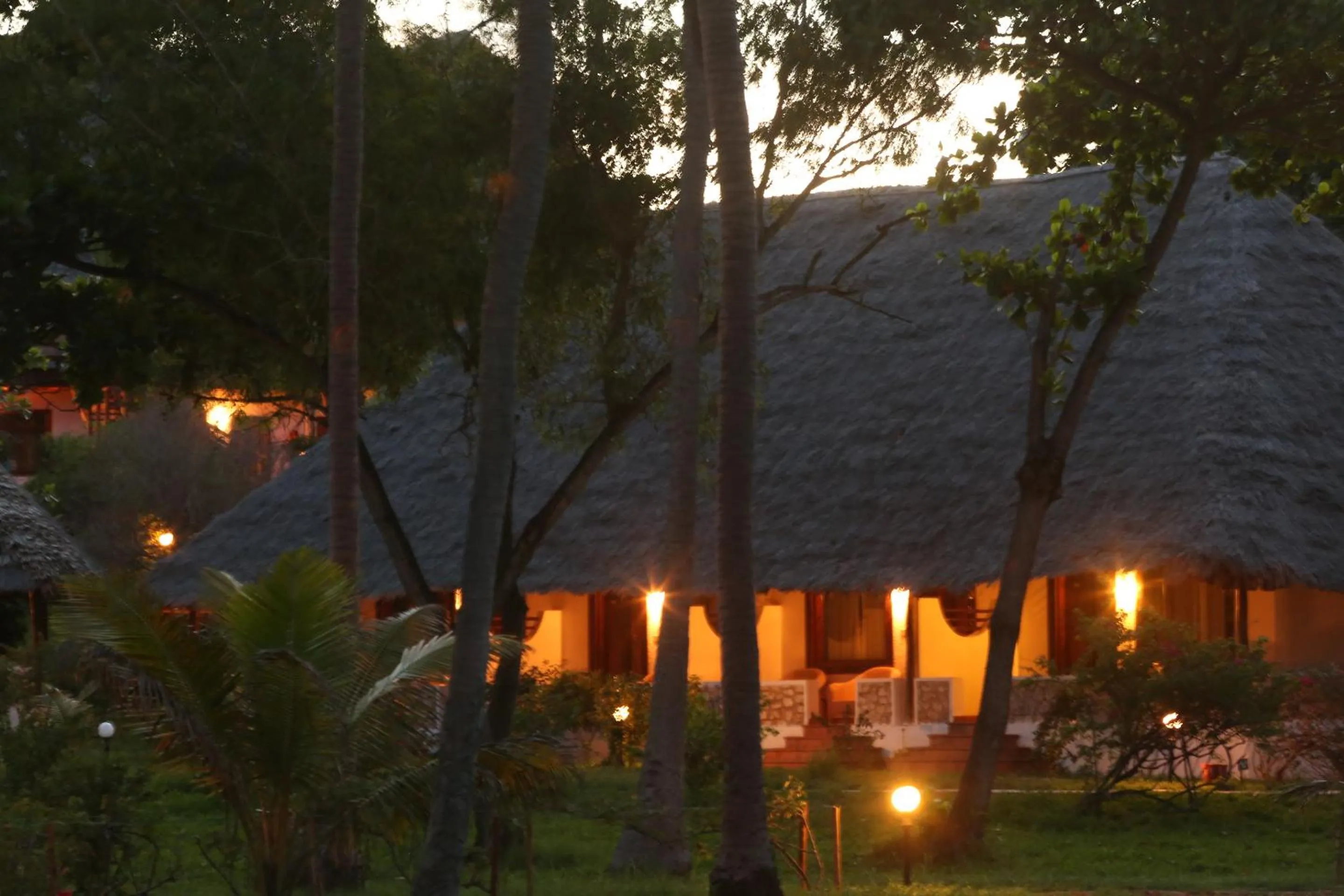 Garden view in Hotel Club Dongwe